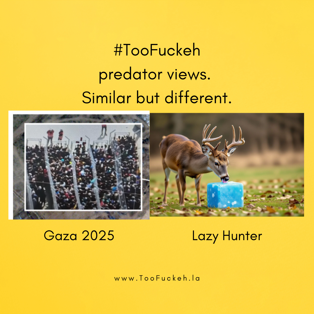 A predator view. Similar but different..png