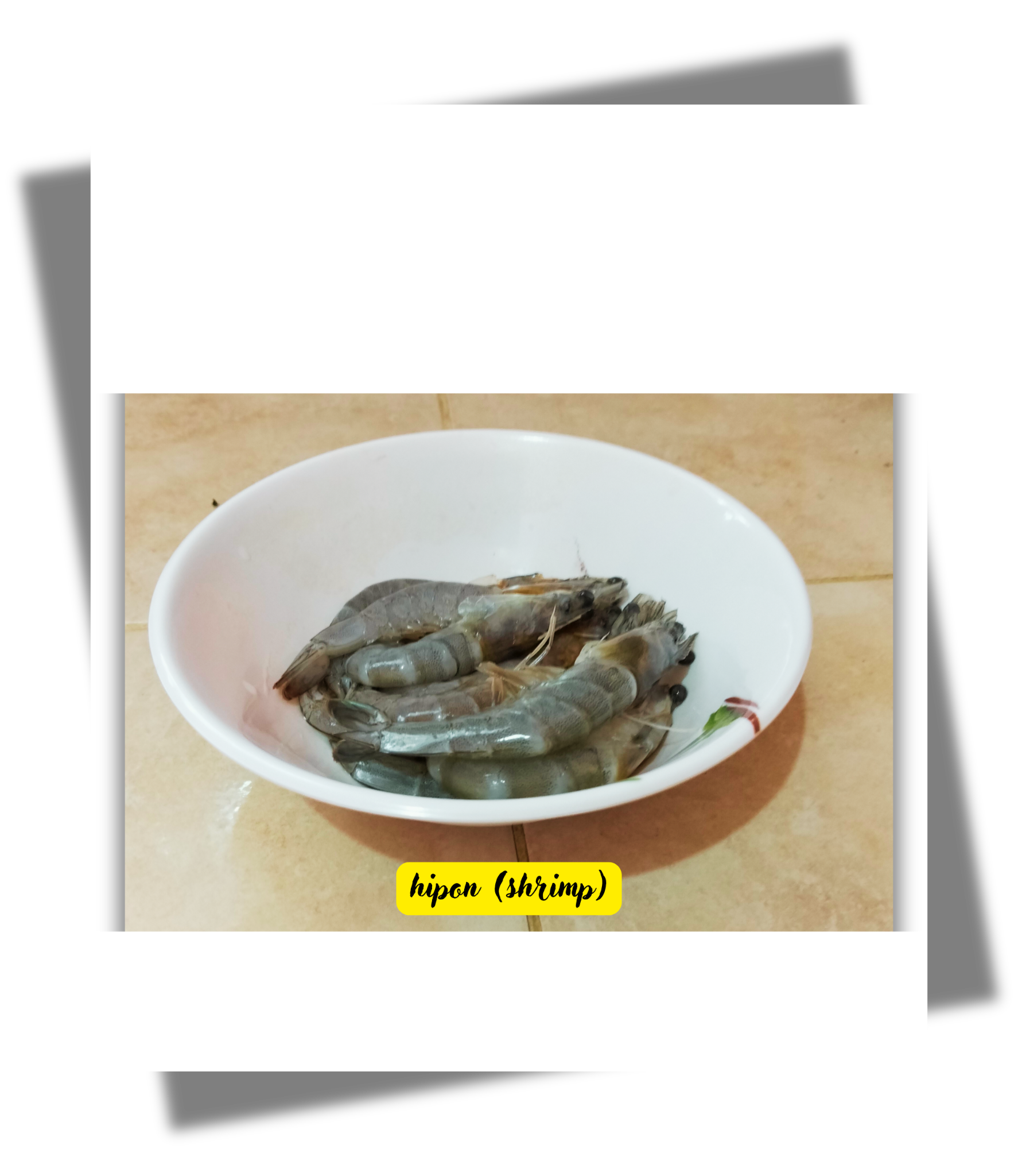 hipon (shrimp).png