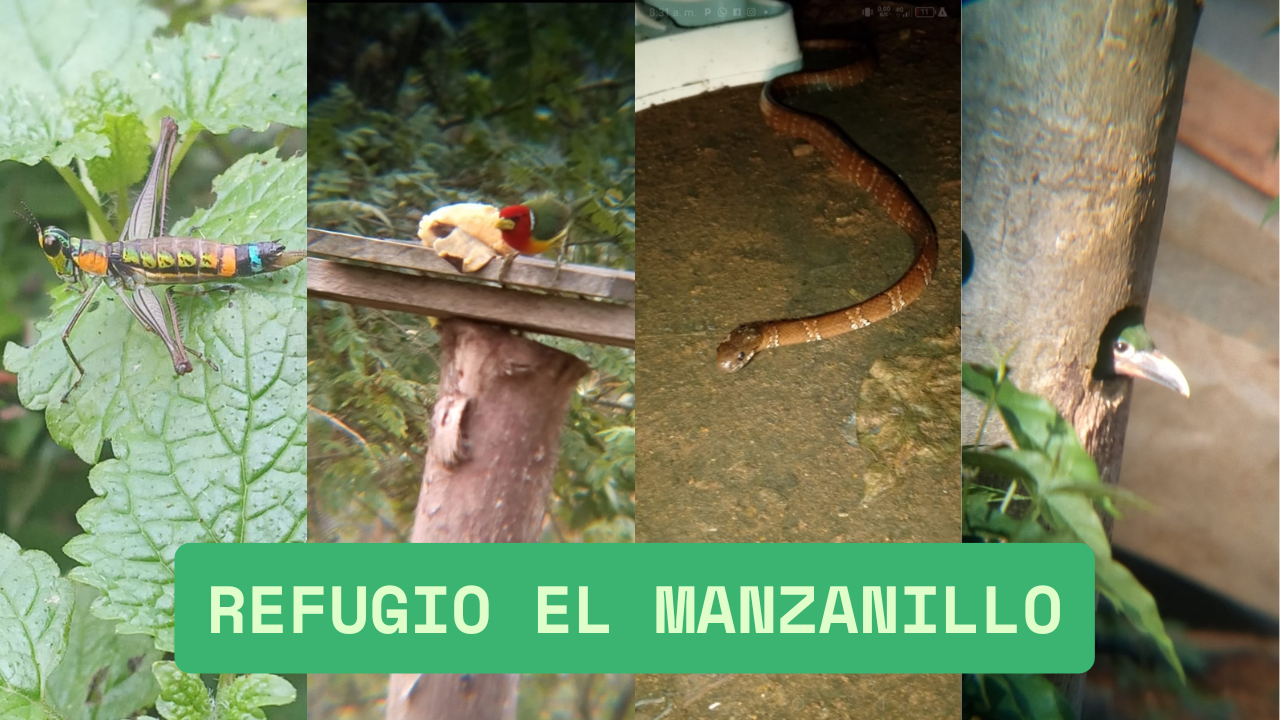 refugio el manzanillo.png