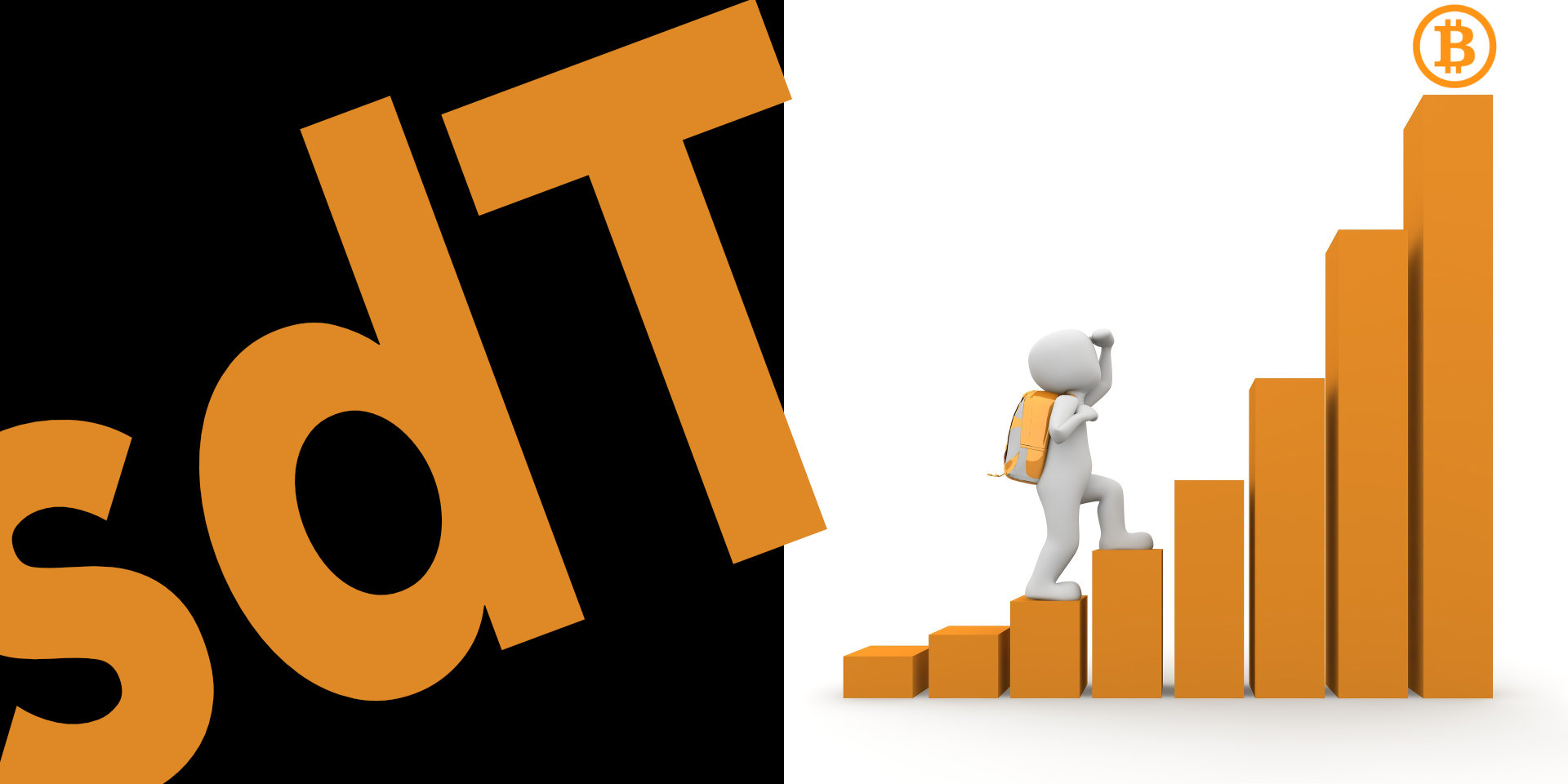sdt-logo.jpg