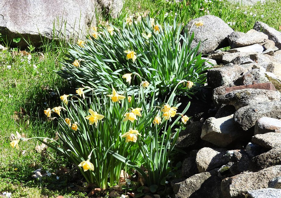 3. Beautiful Spring Day for a Wednesday Walk.jpg