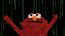 matrix-elmo.gif