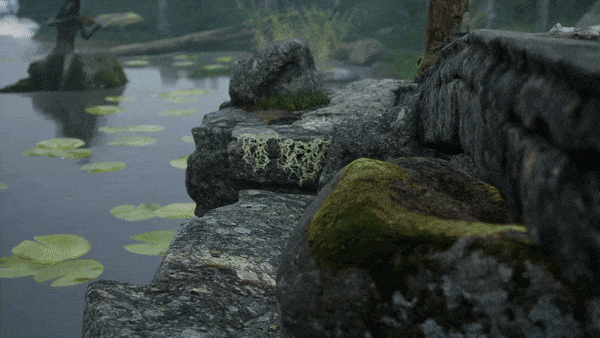 ezgif.com-optimize (29).gif