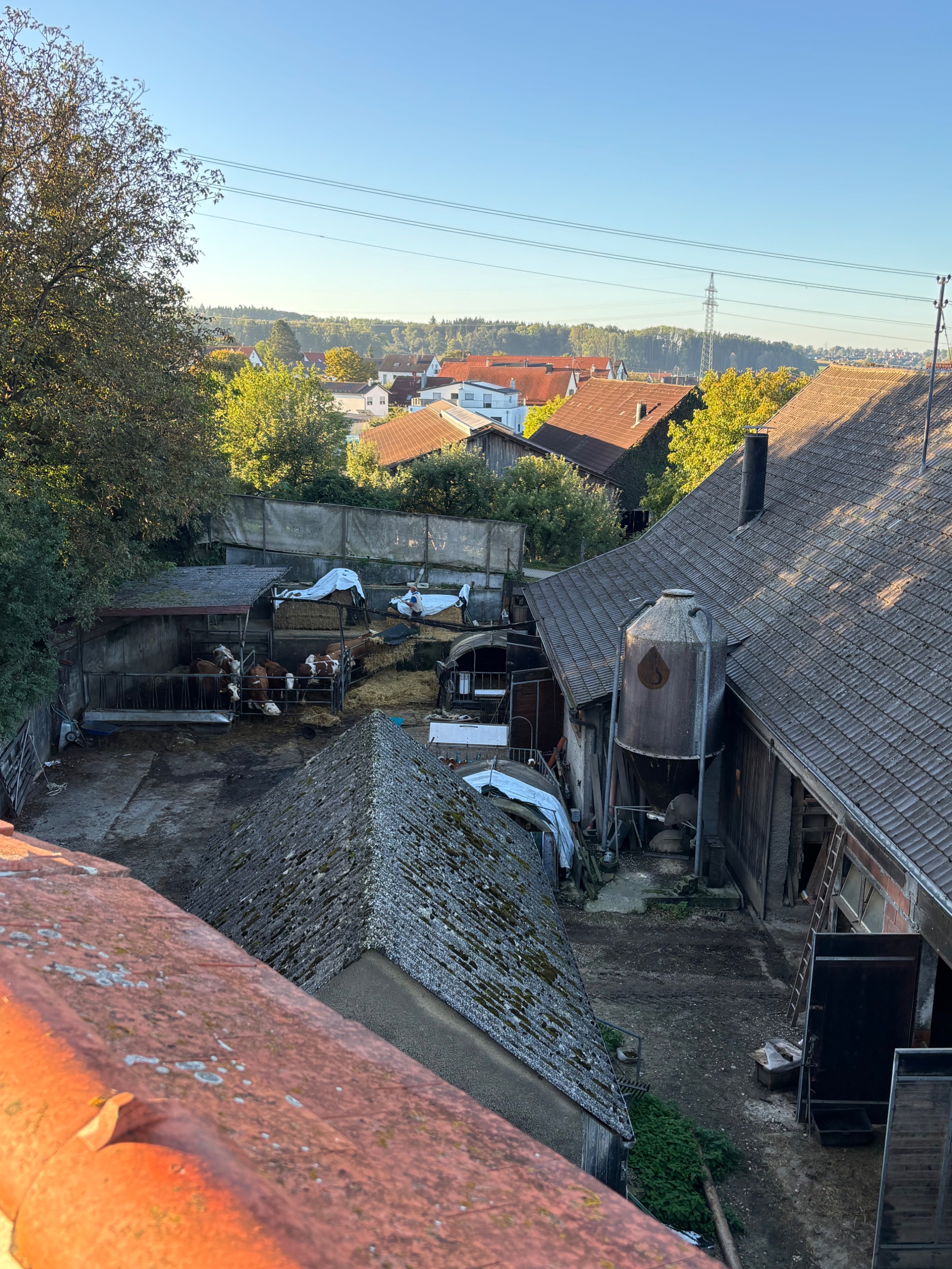 IMG_0706.jpeg