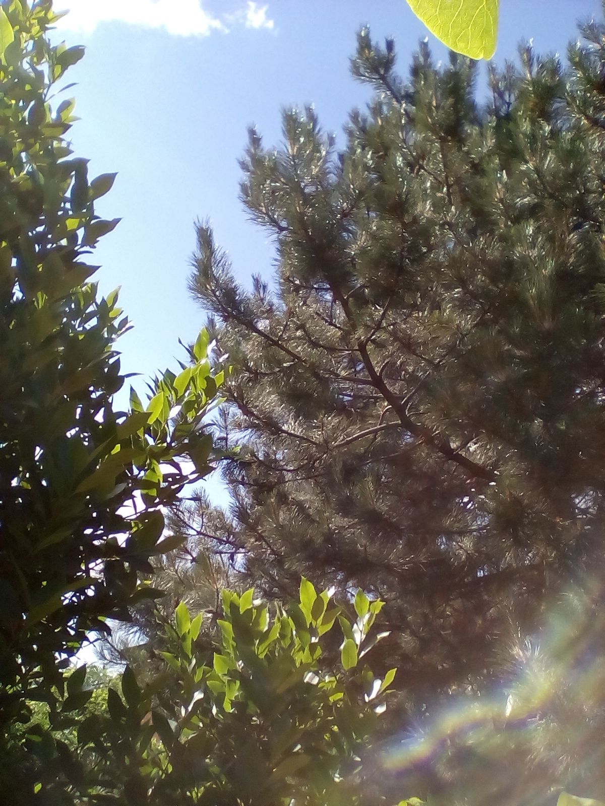 IMG_20210614_102051.jpg