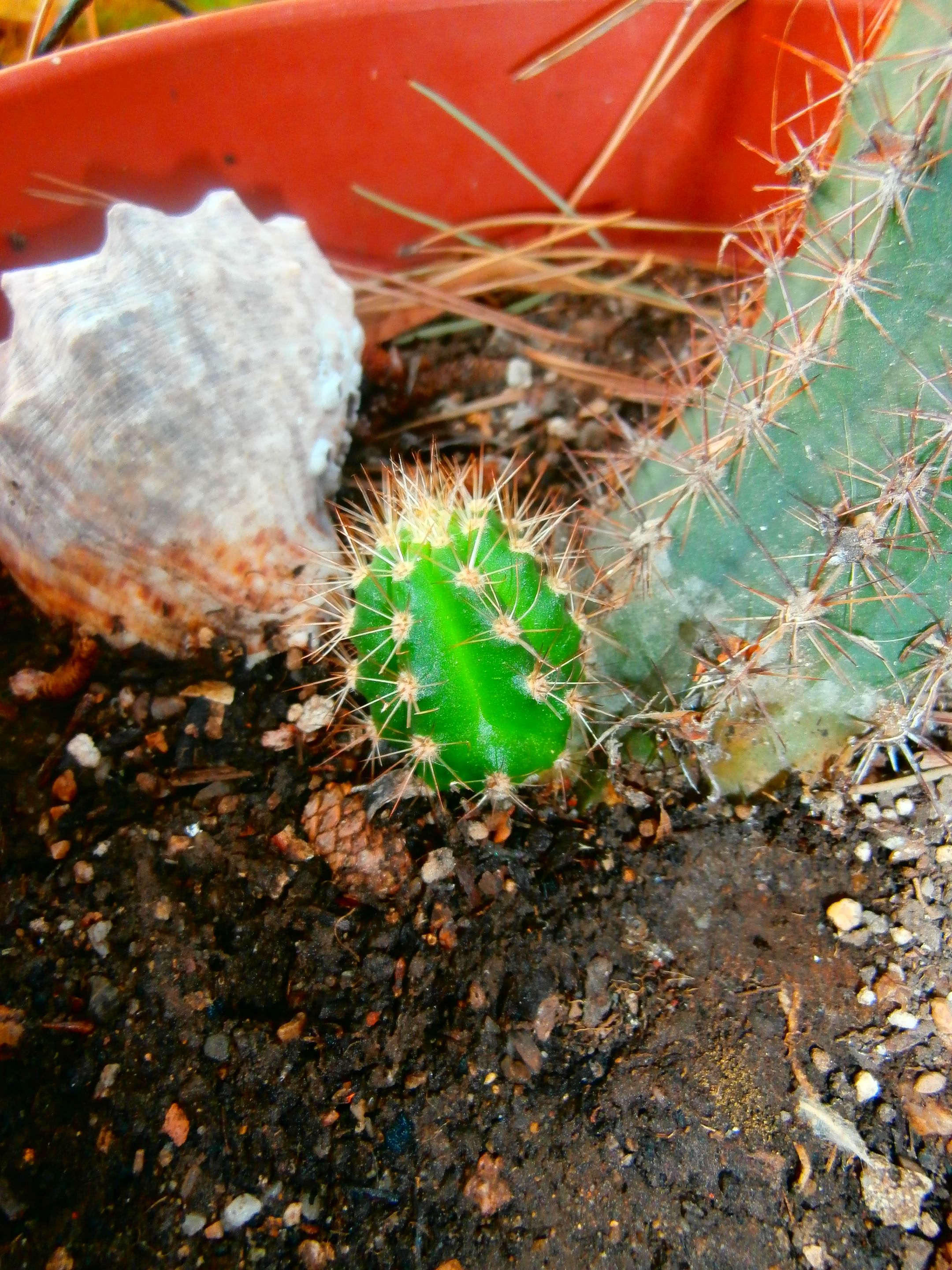 P7230004.JPG