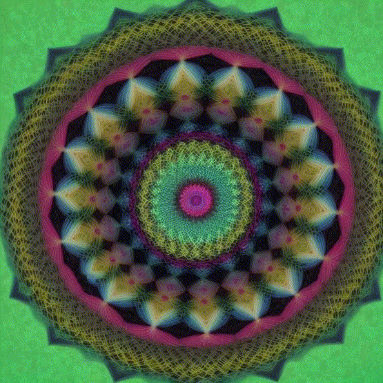 video (6)-gif.gif