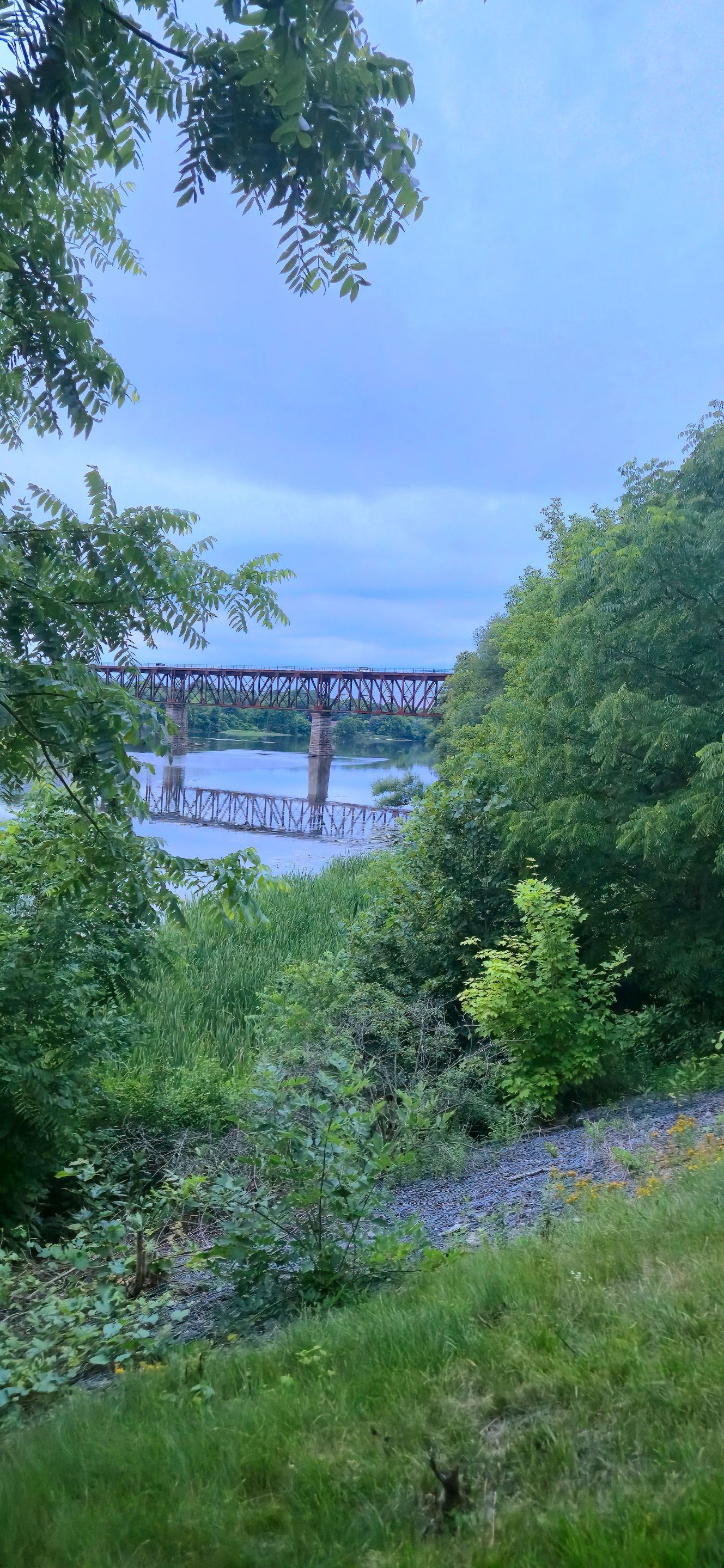 20250709_205146.jpg