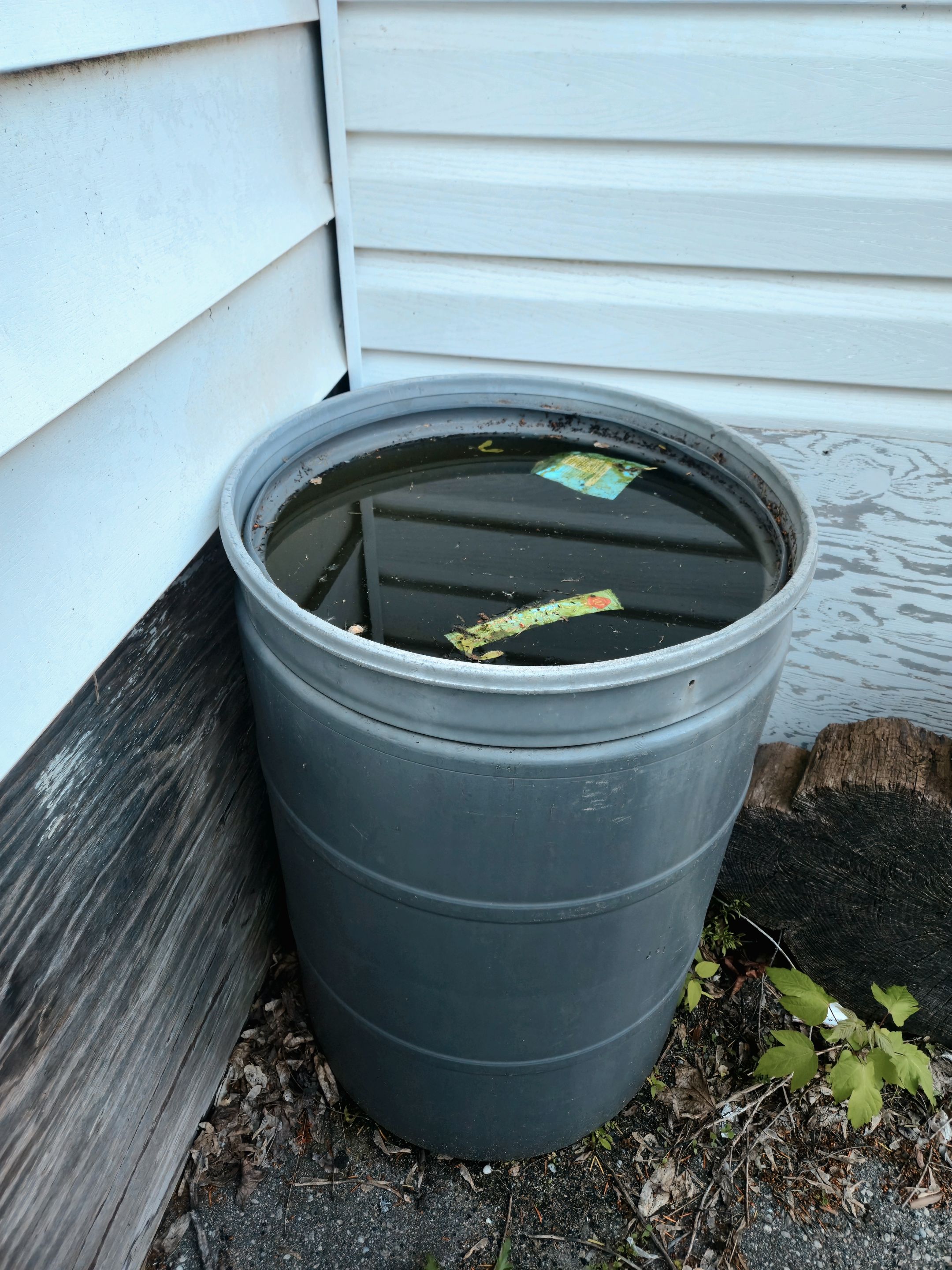 20250531_201526.jpg
