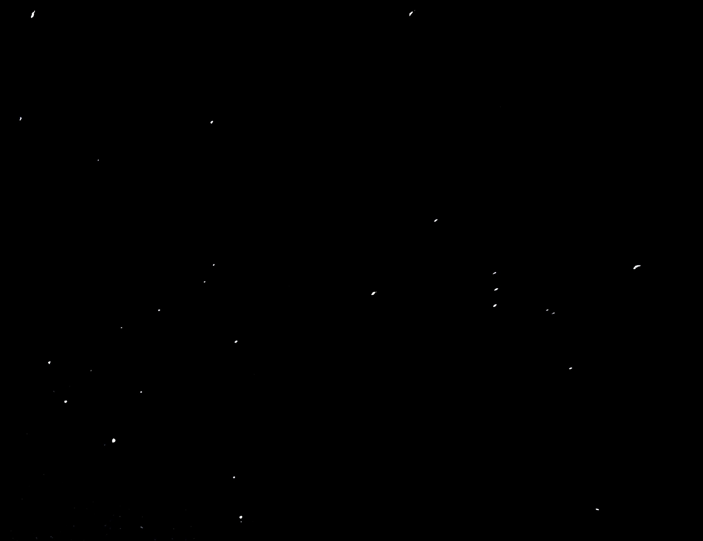 20251101_030028(1) (1).jpg