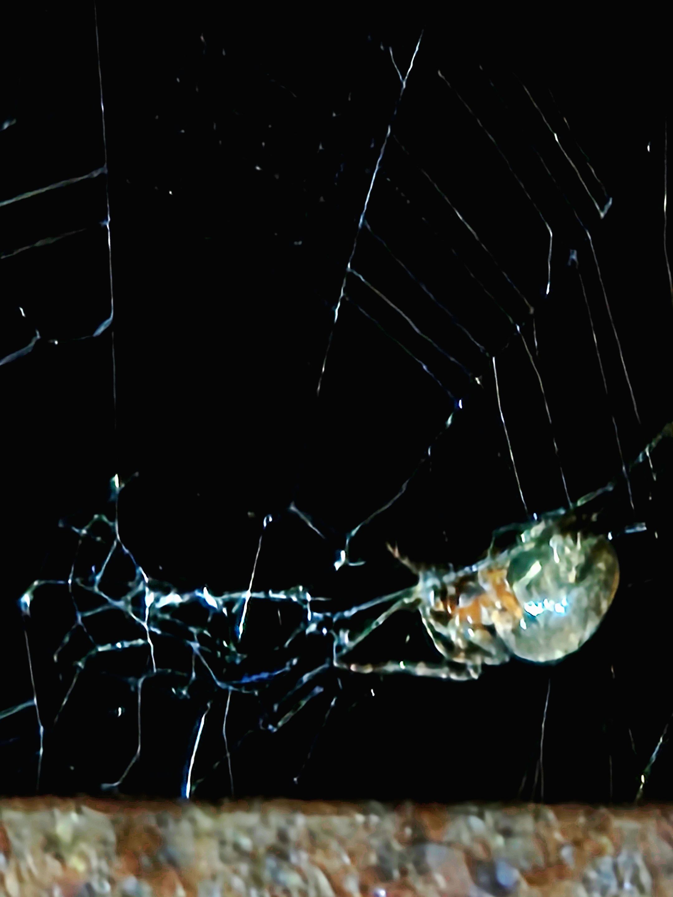 20250530_021436.jpg