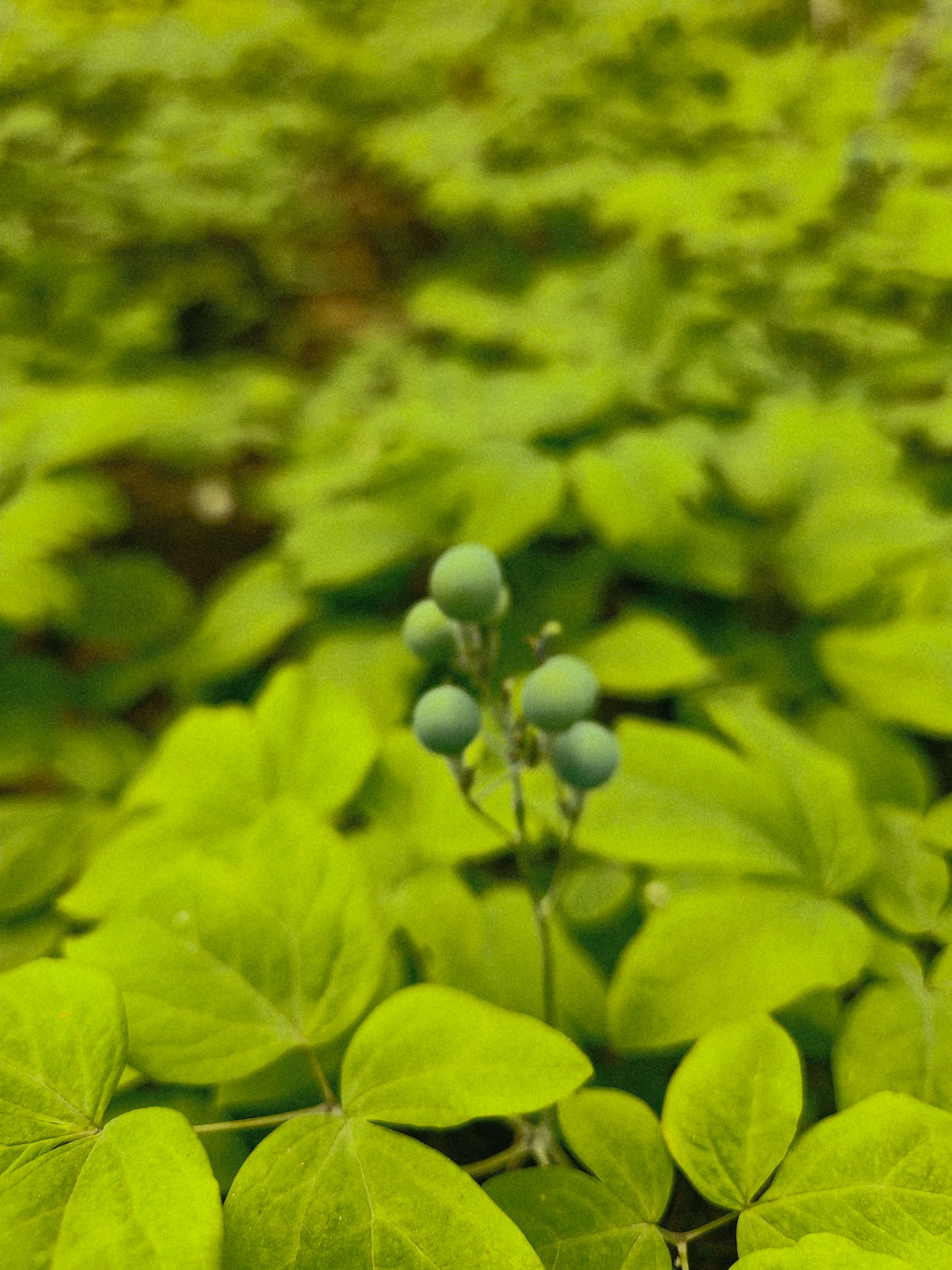 20250625_144734.jpg