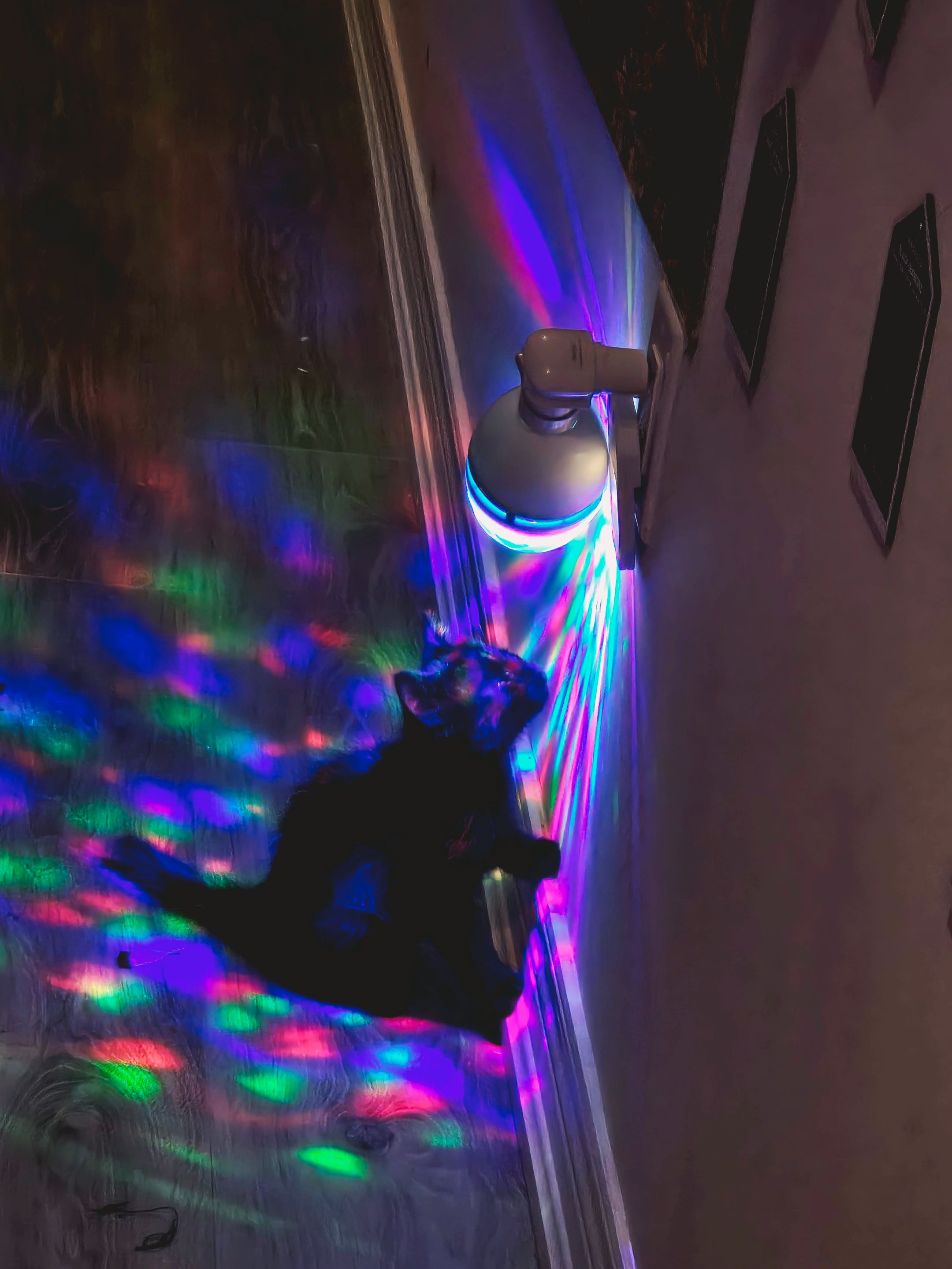 20250618_151433.jpg