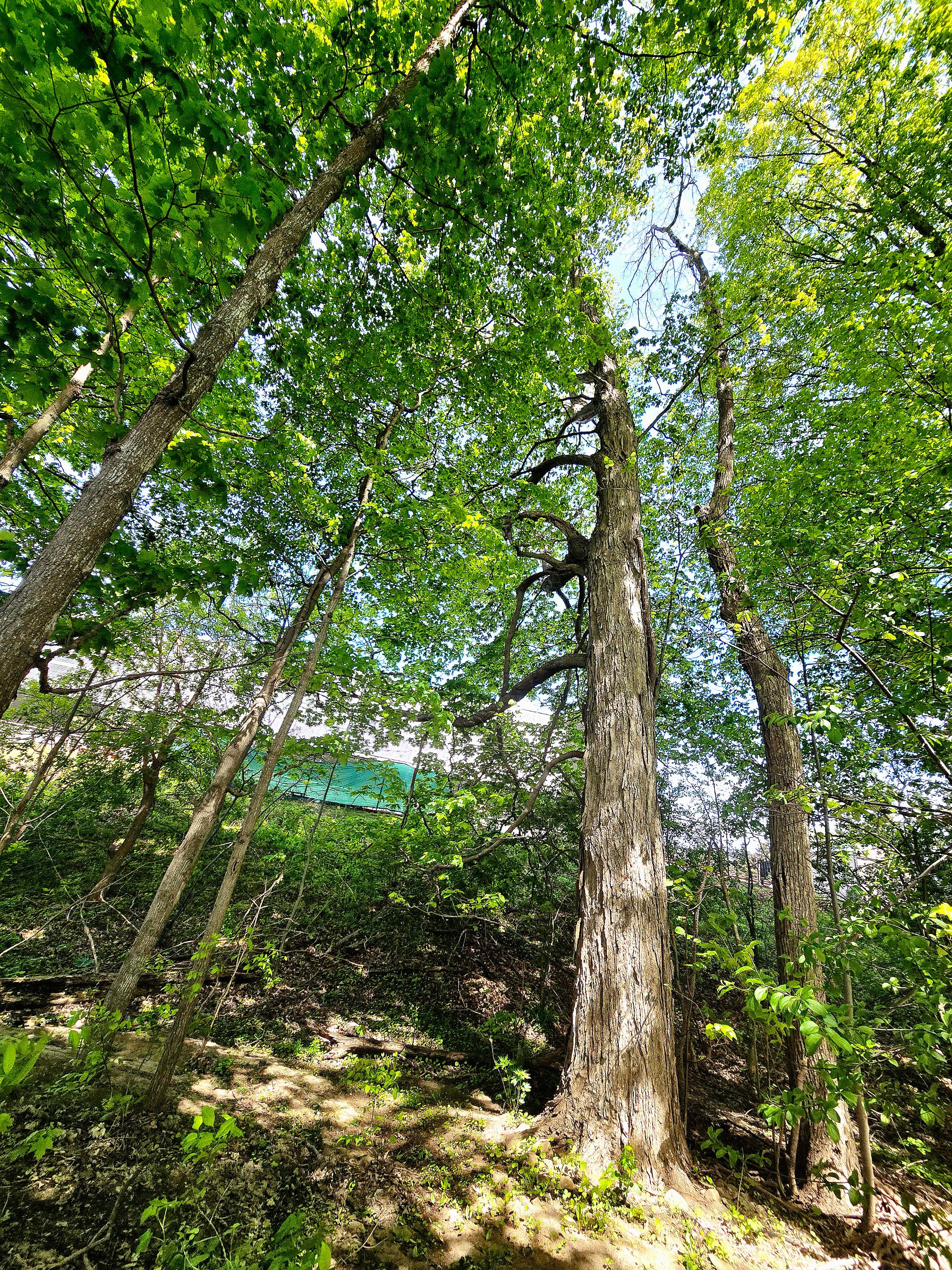 20250520_121202.jpg