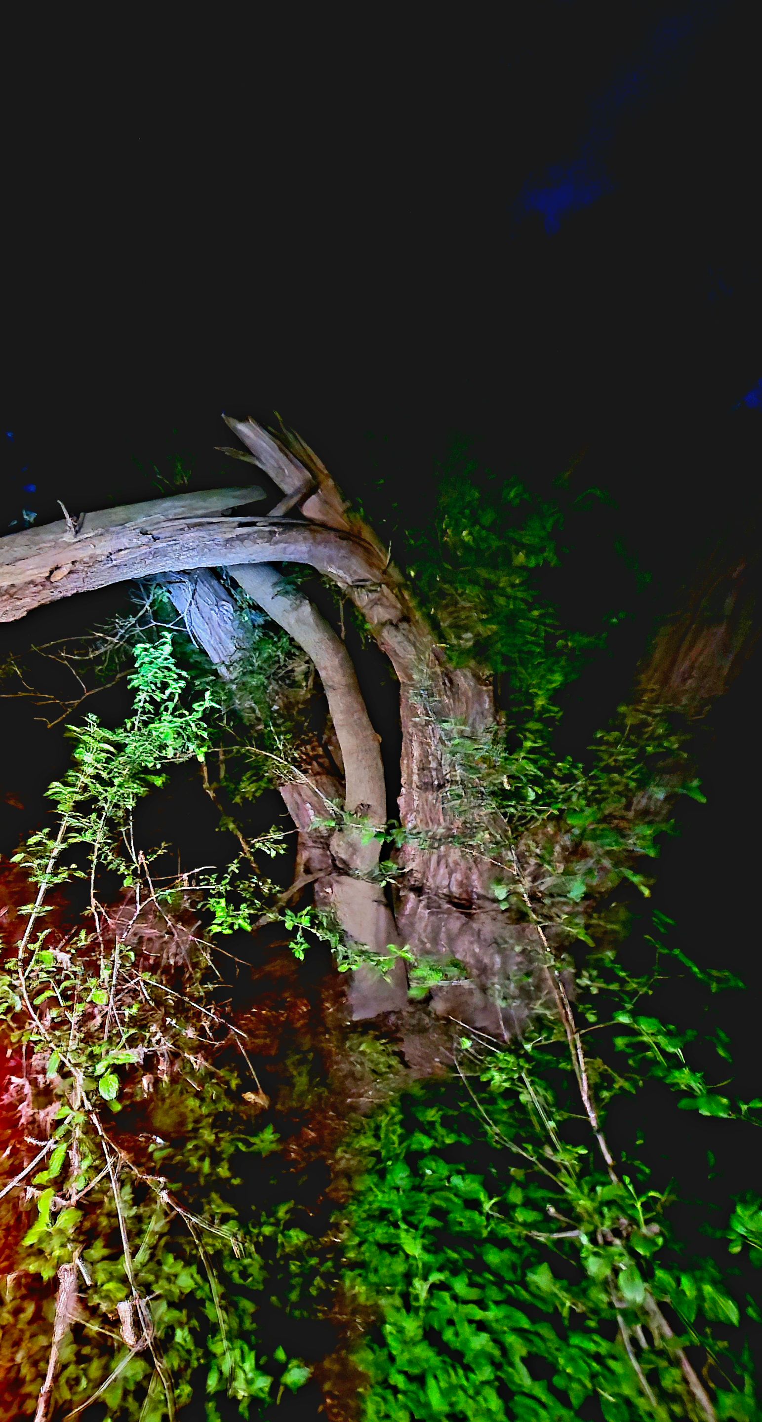 20250519_215146.jpg