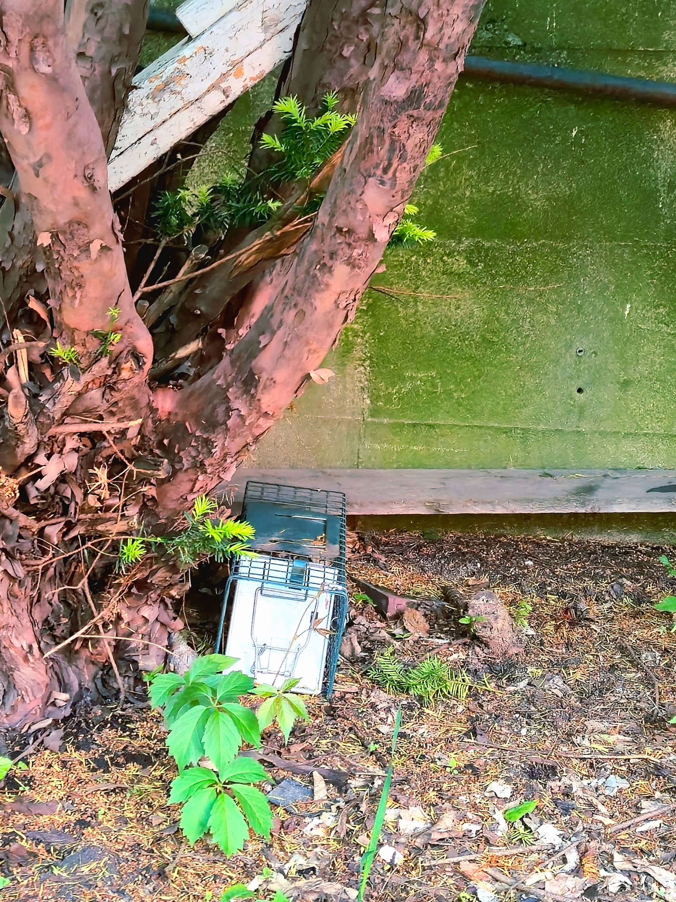 20250531_201239.jpg