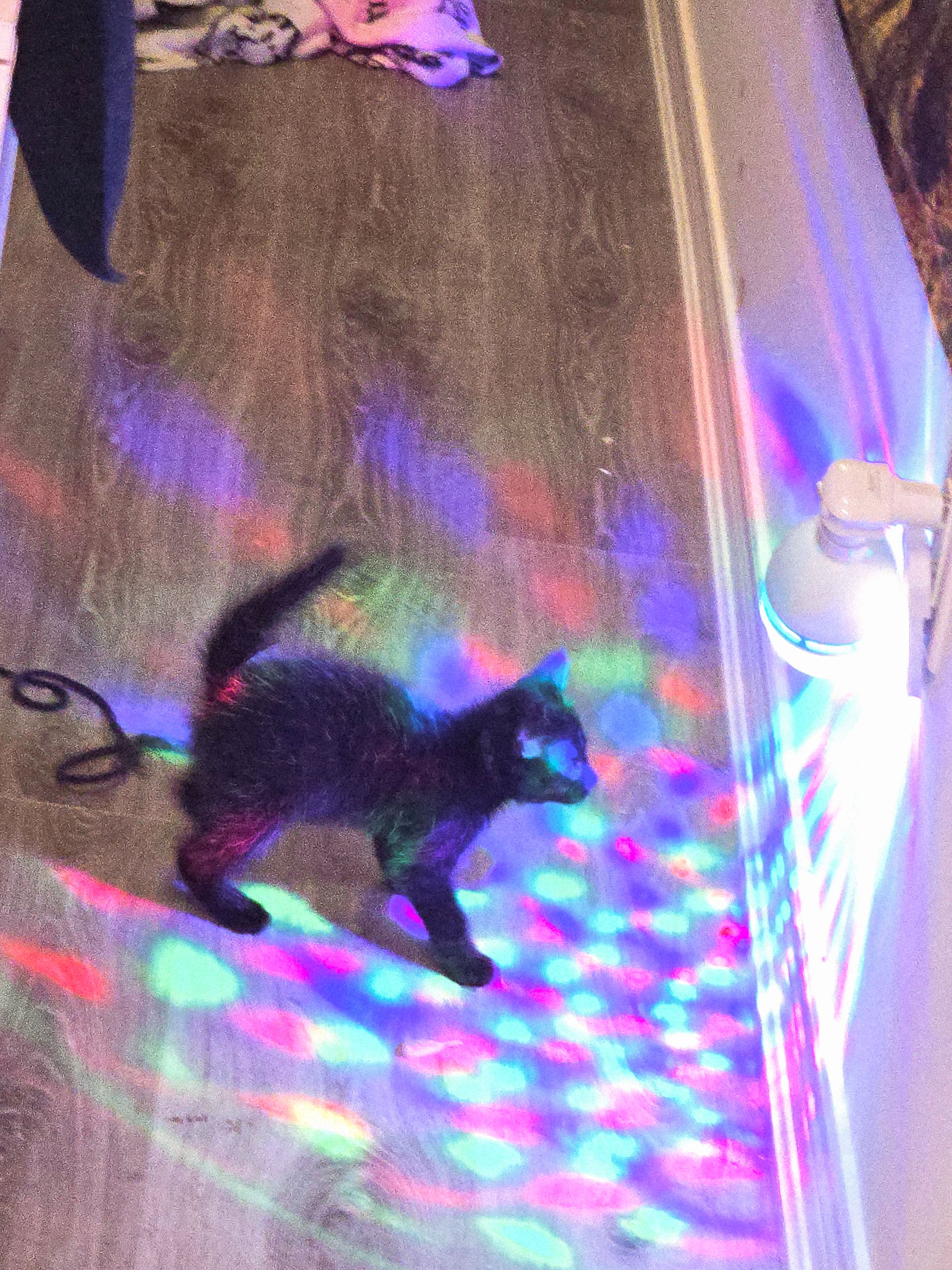 20250618_151423.jpg