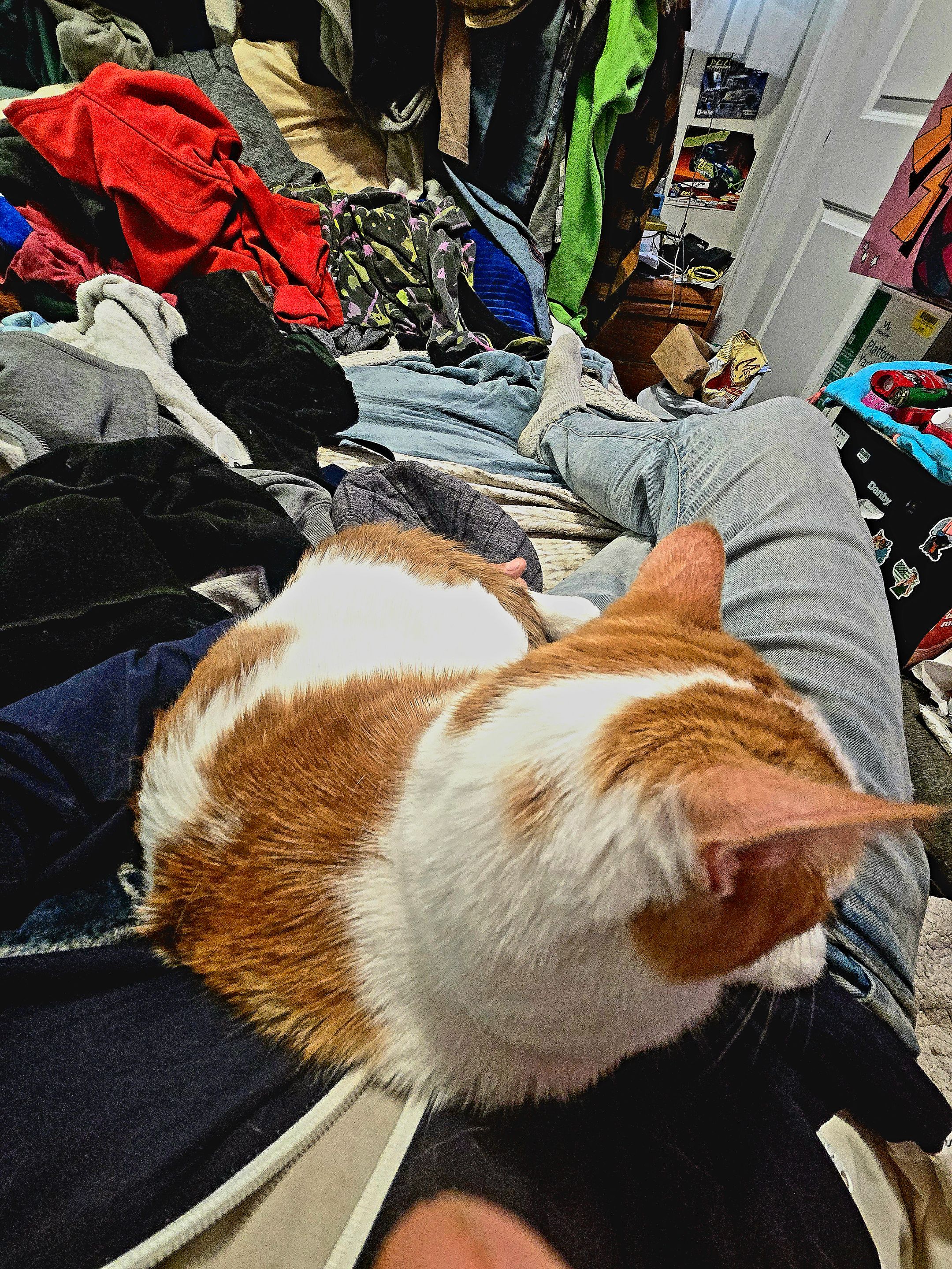 20250528_163629.jpg