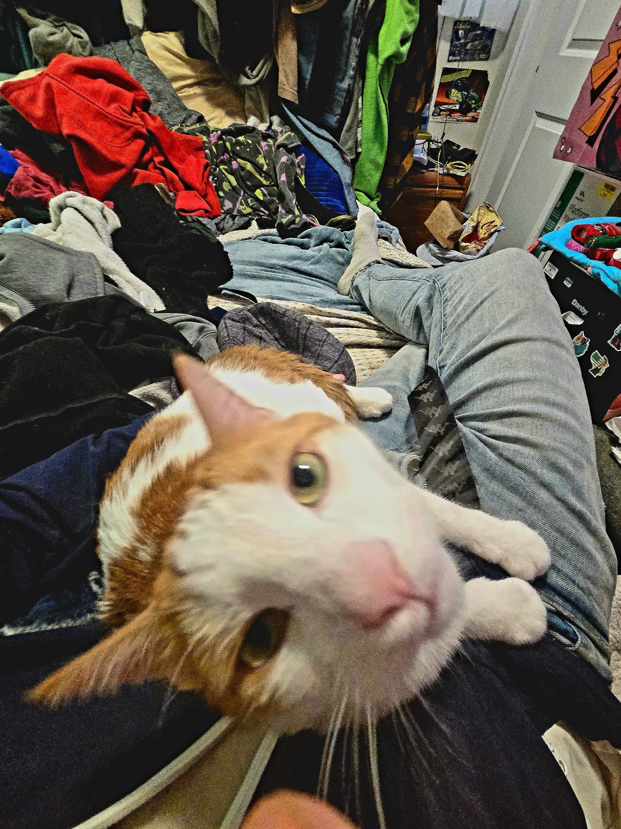 20250528_163624.jpg