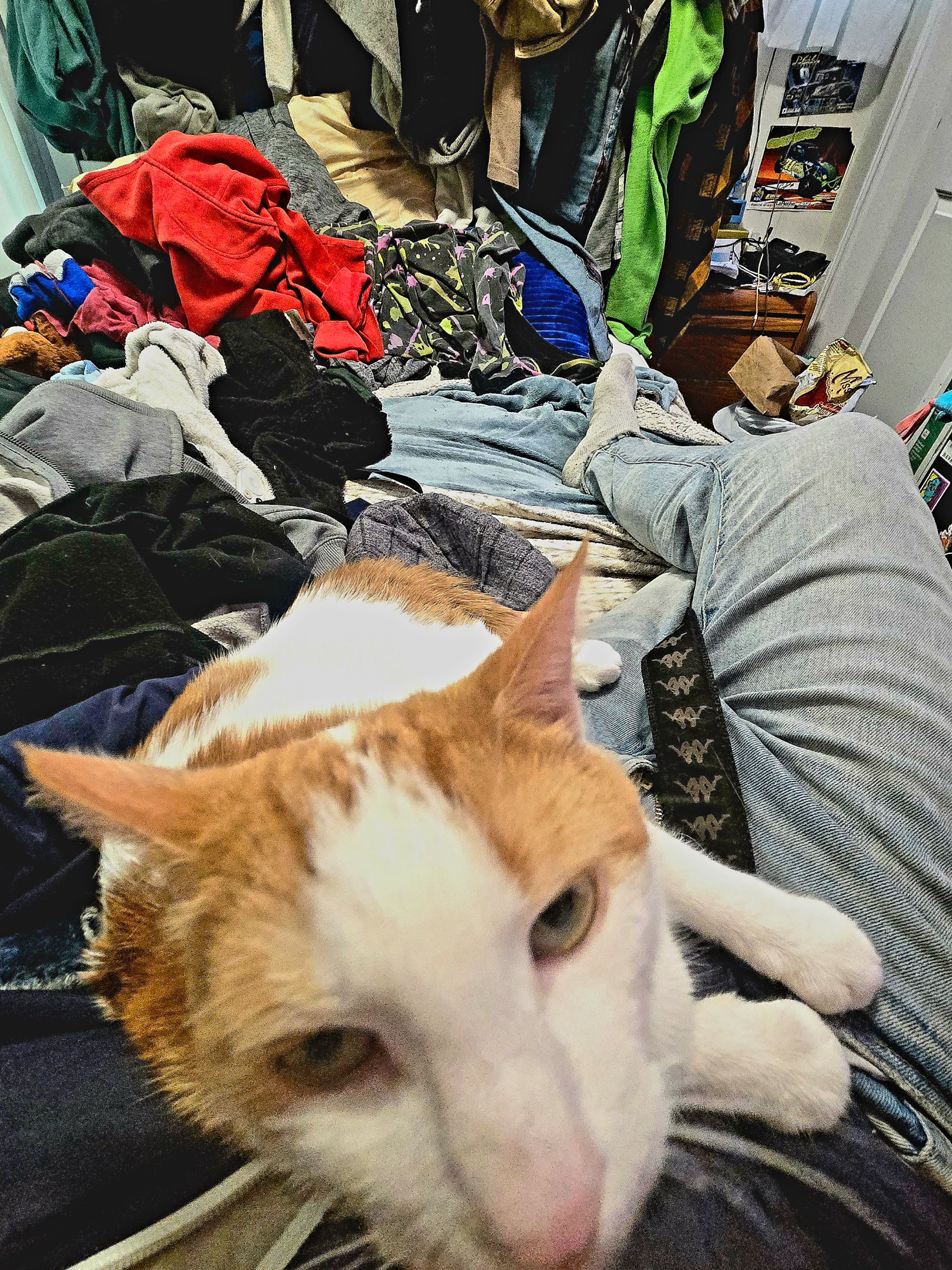 20250528_163630.jpg