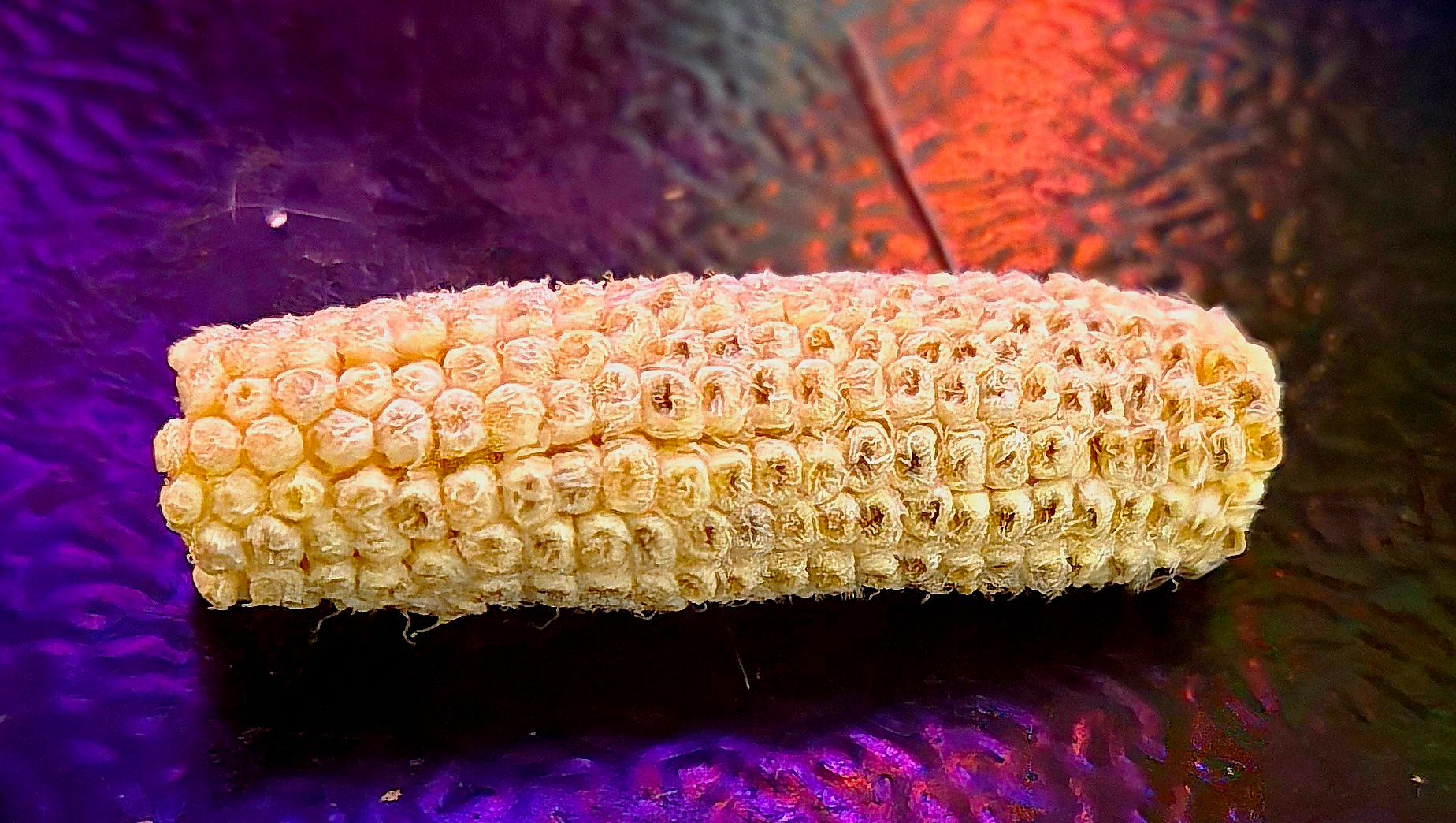 20250812_112003.jpg