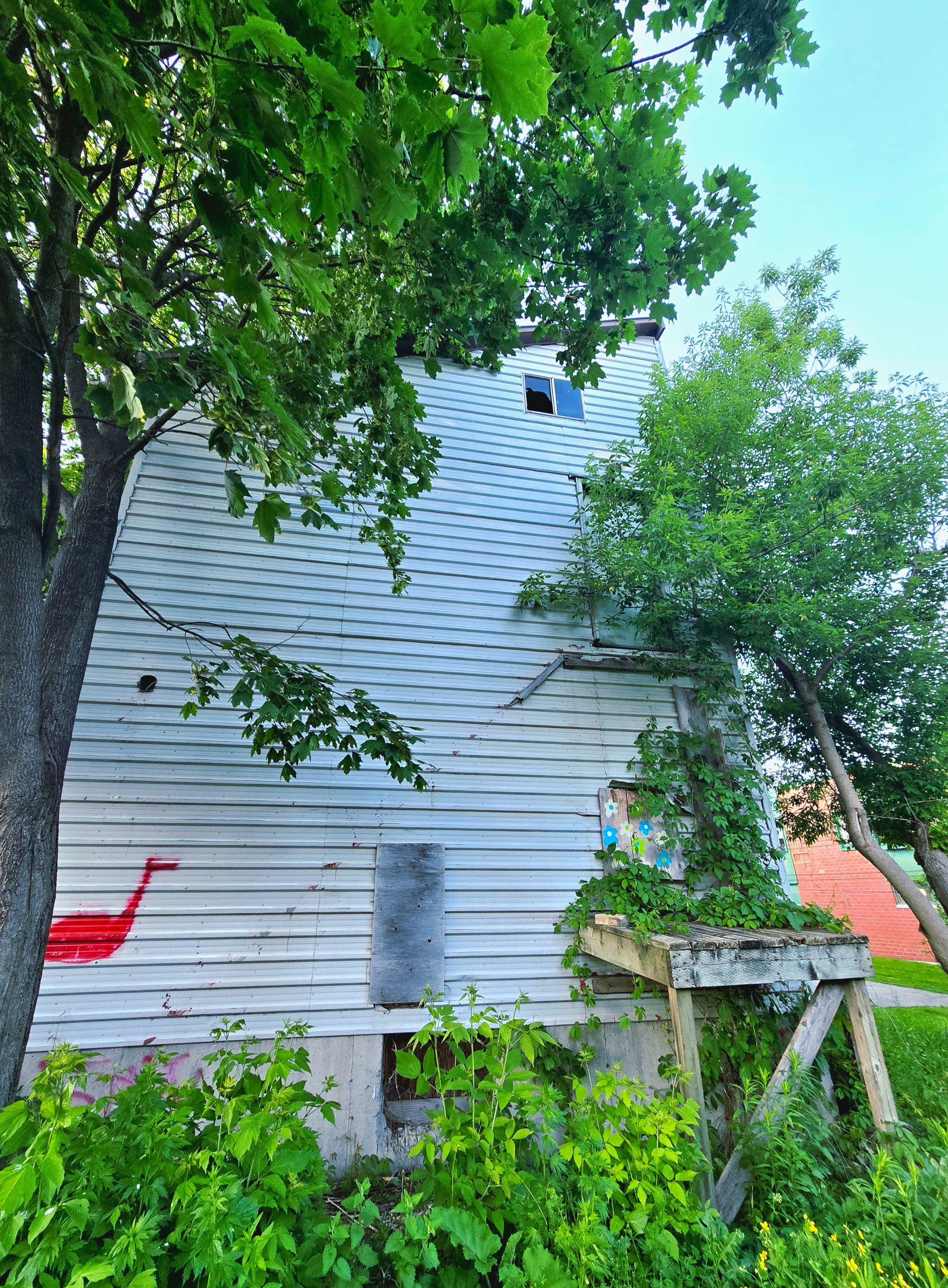 20250531_201043.jpg