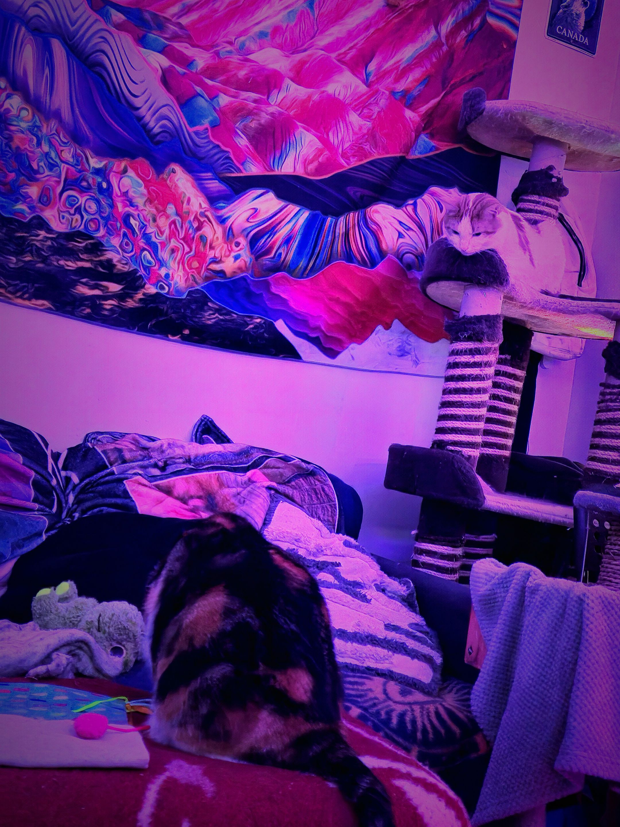 20250521_180857.jpg