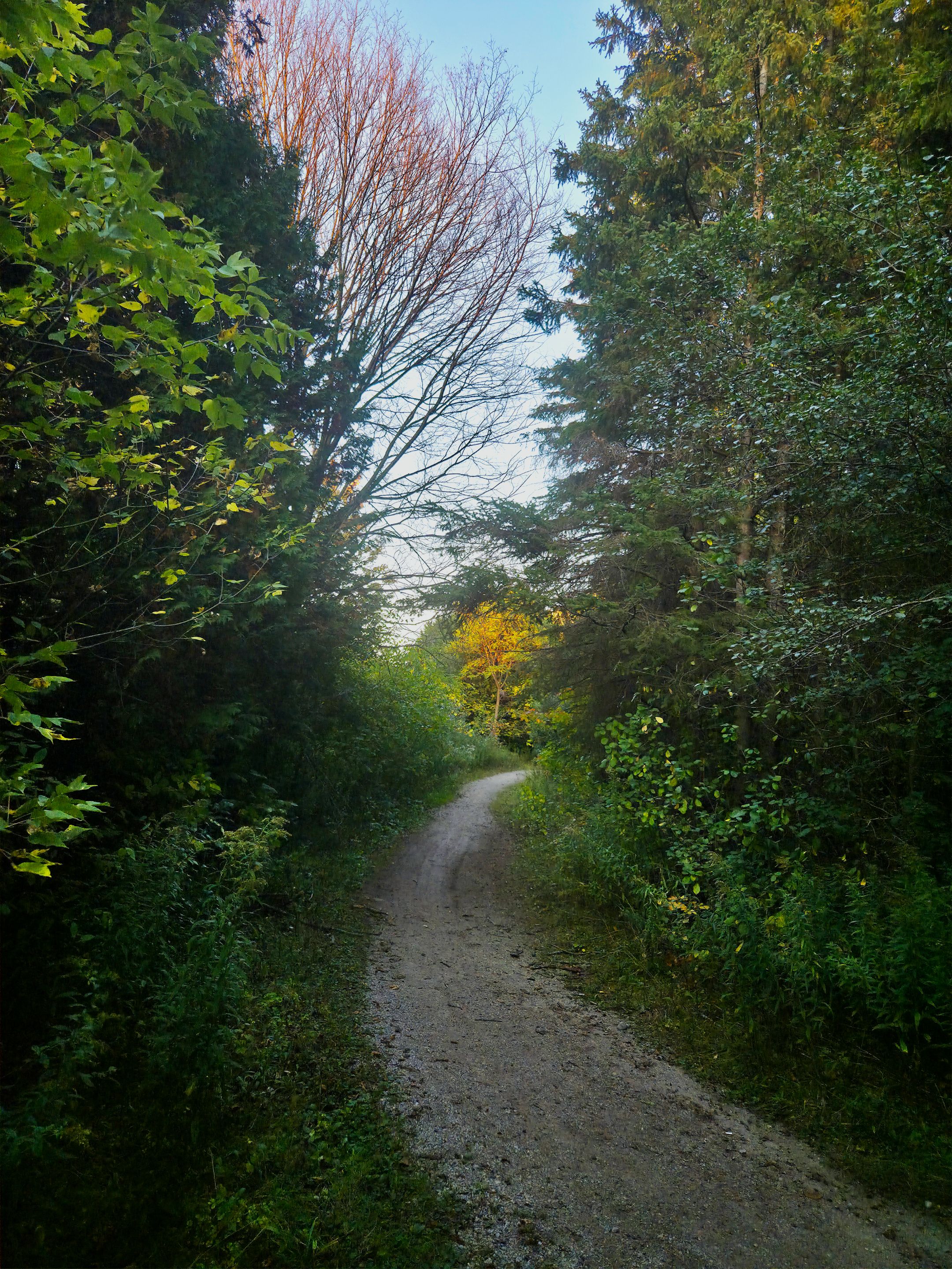 20251003_184129.jpg