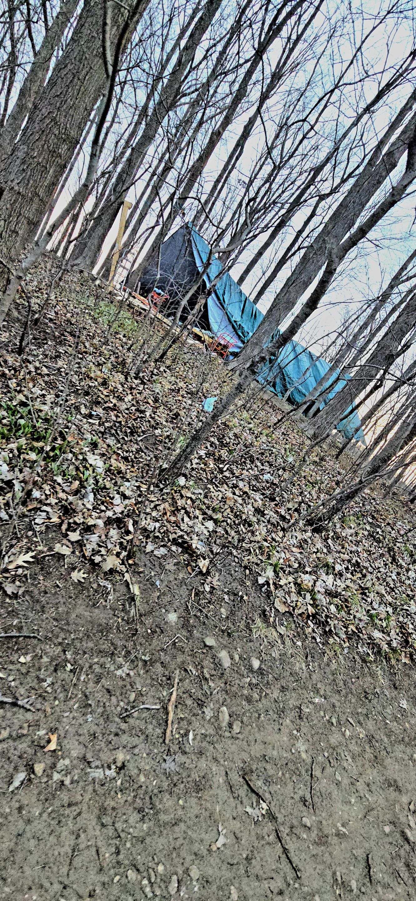 20250425_063918.jpg
