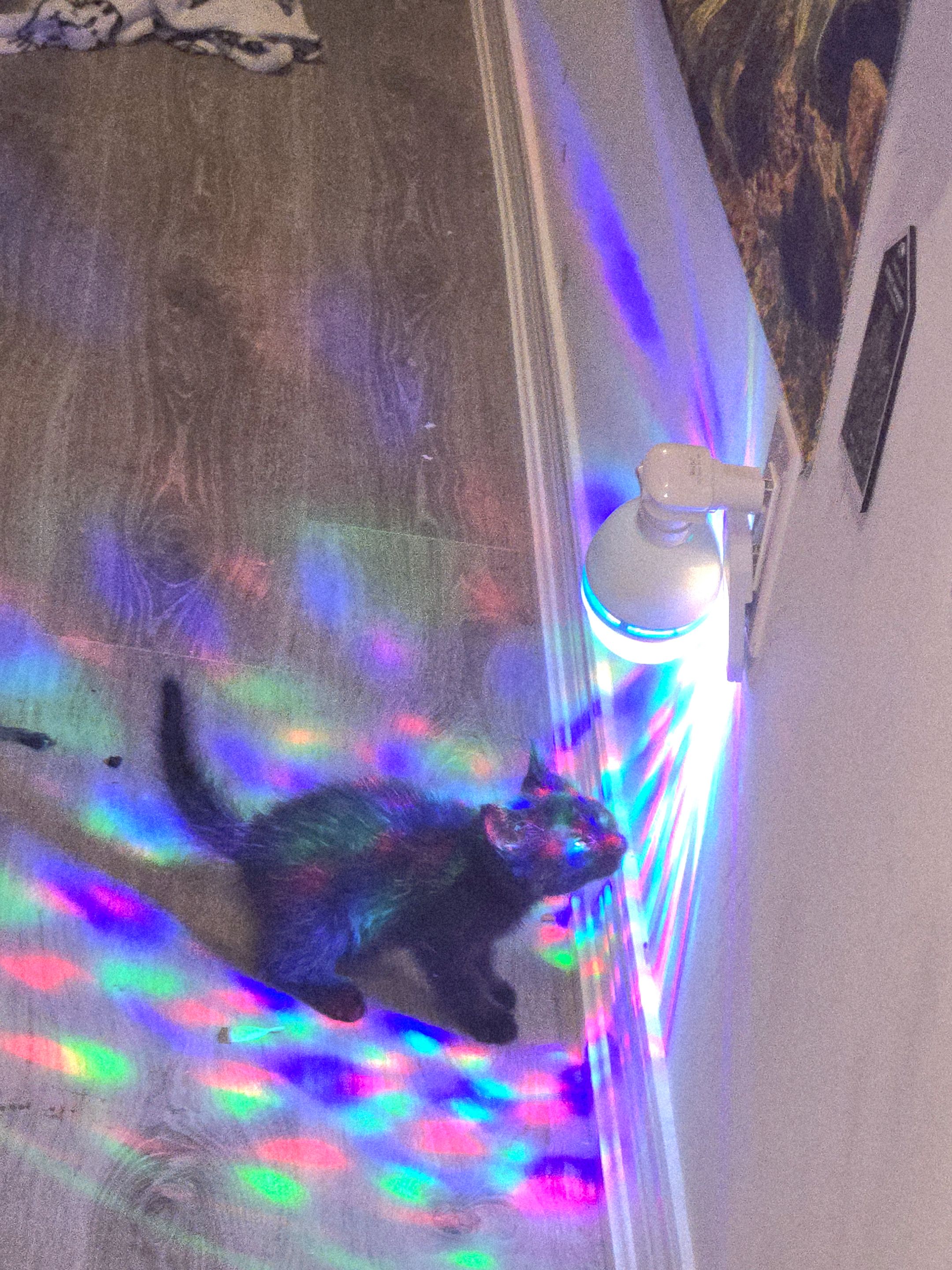 20250618_151425.jpg