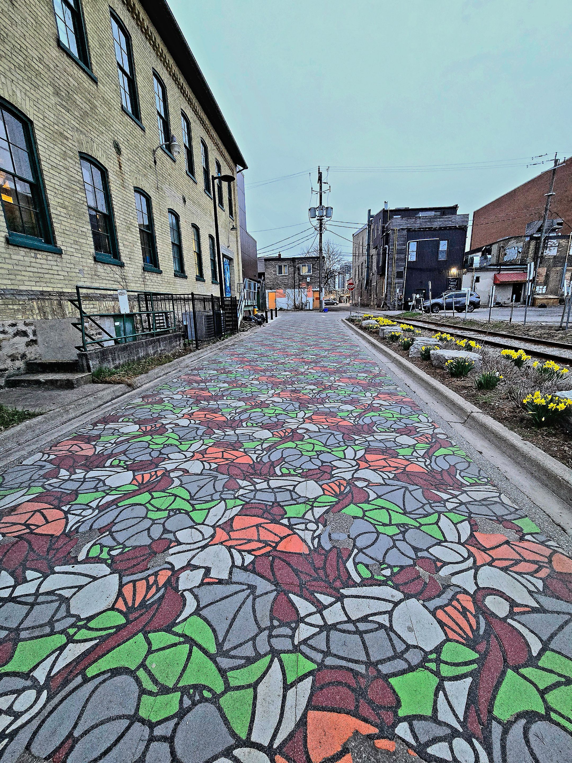 20250425_201203.jpg