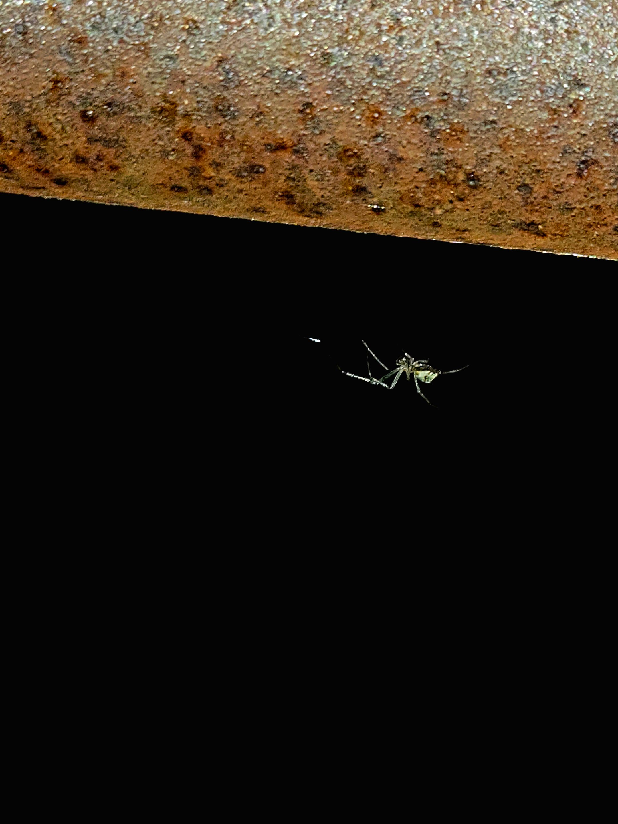 20250530_022037.jpg