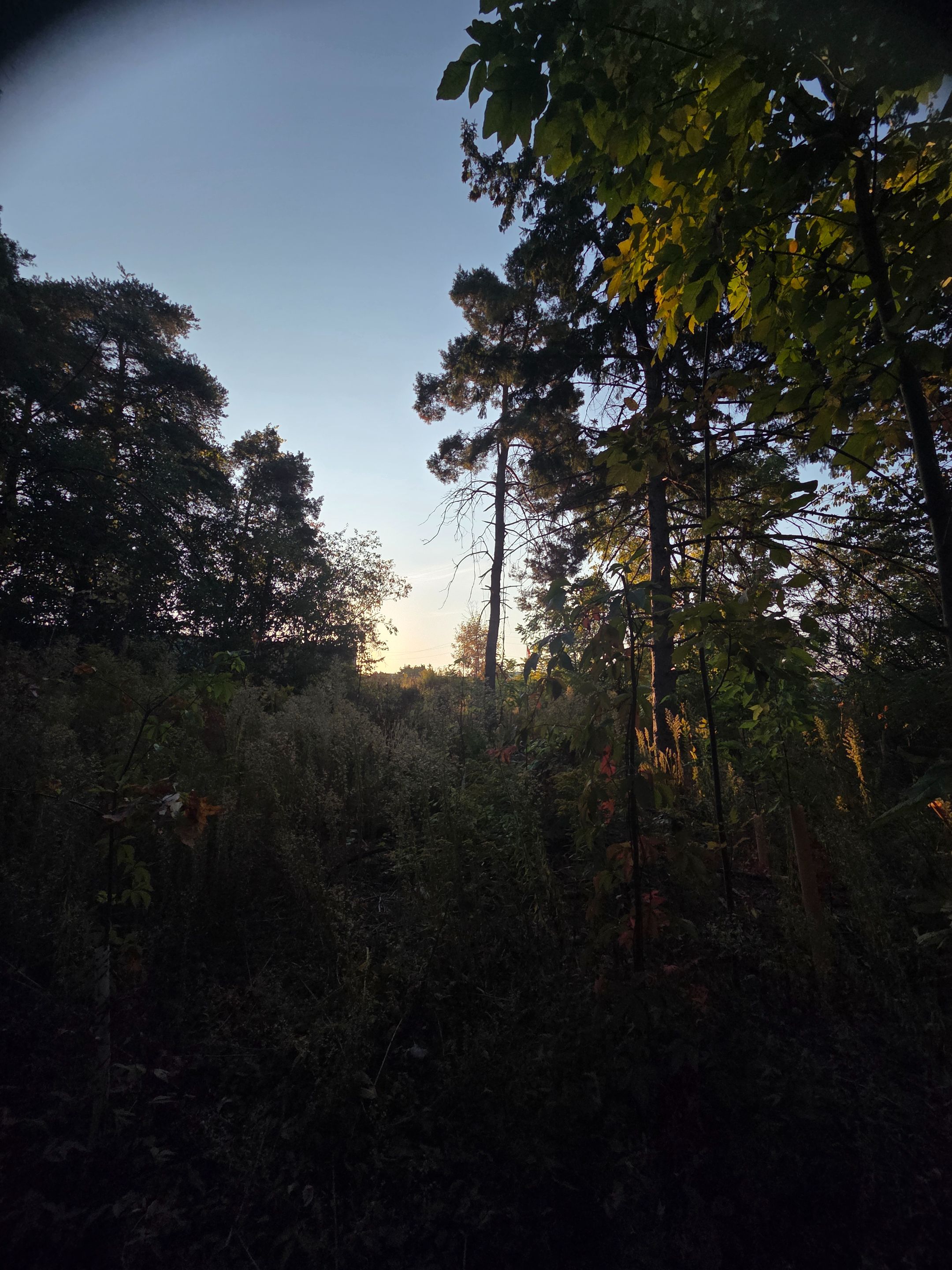20250918_074250.jpg
