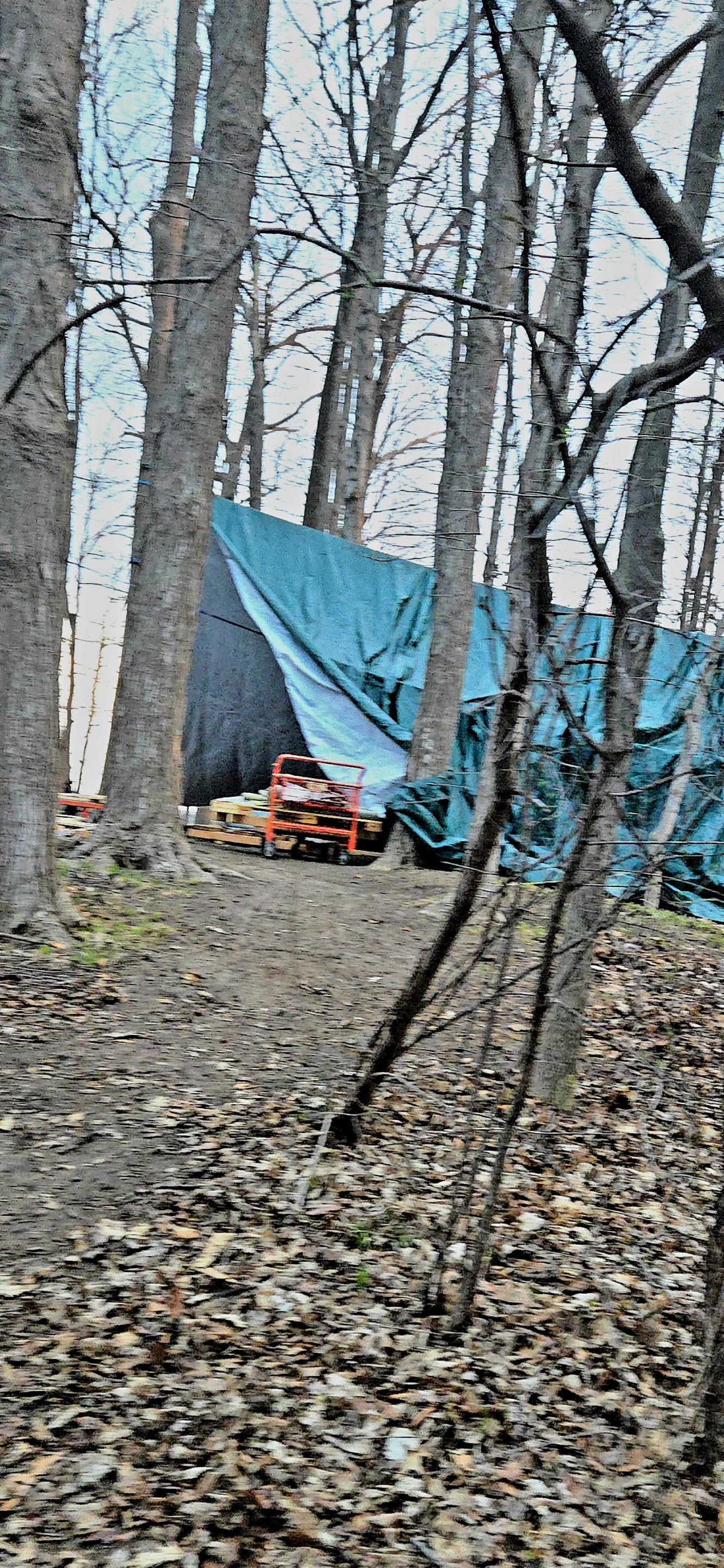 20250425_063932.jpg