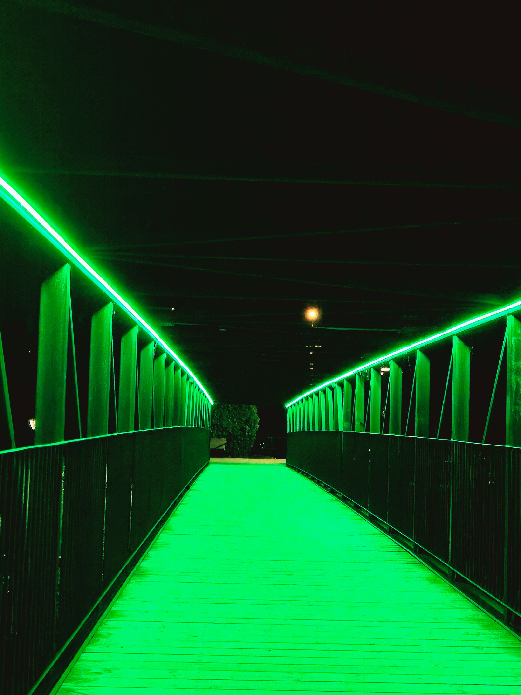 20250530_002900.jpg