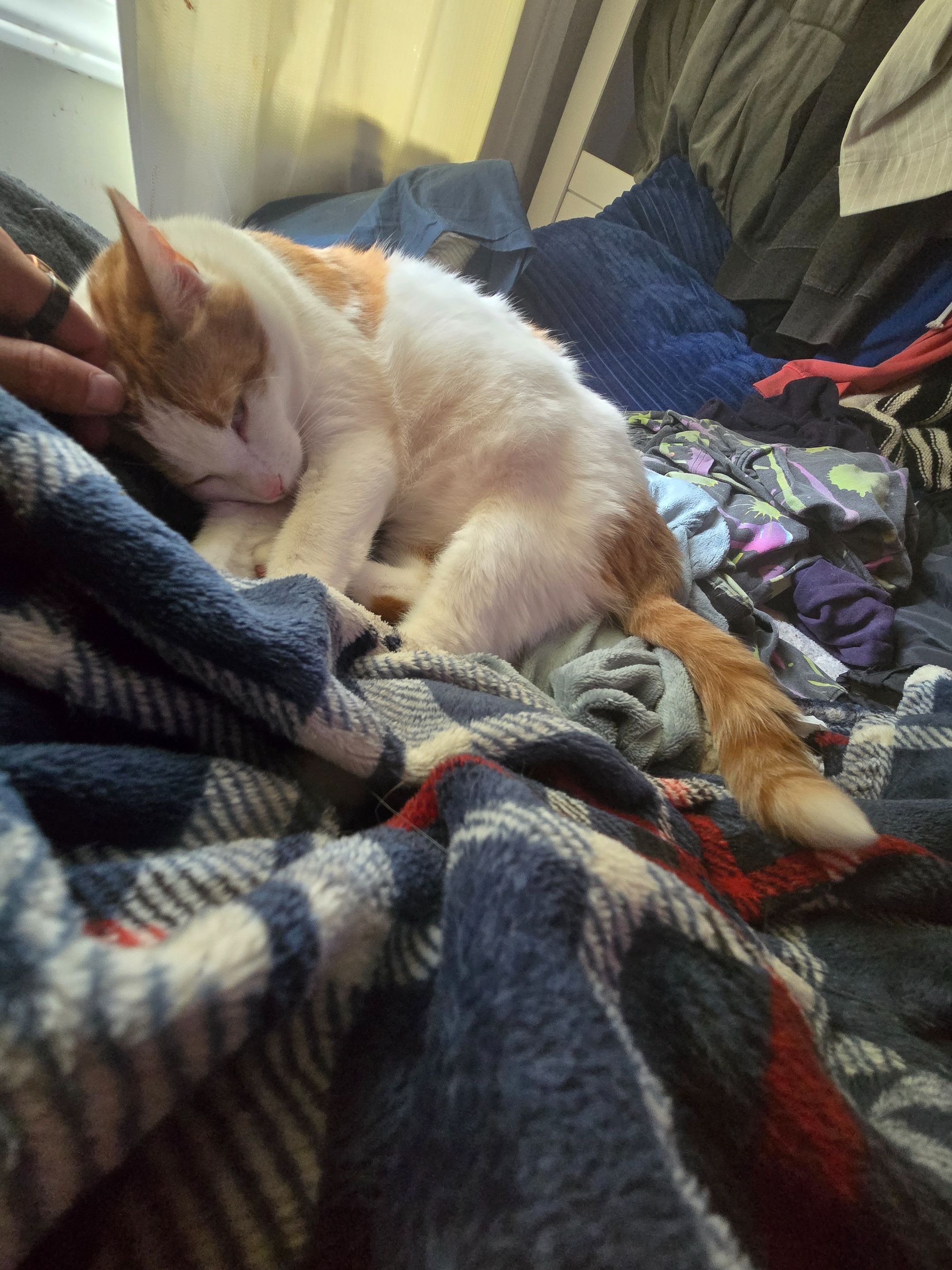 20250531_151310.jpg