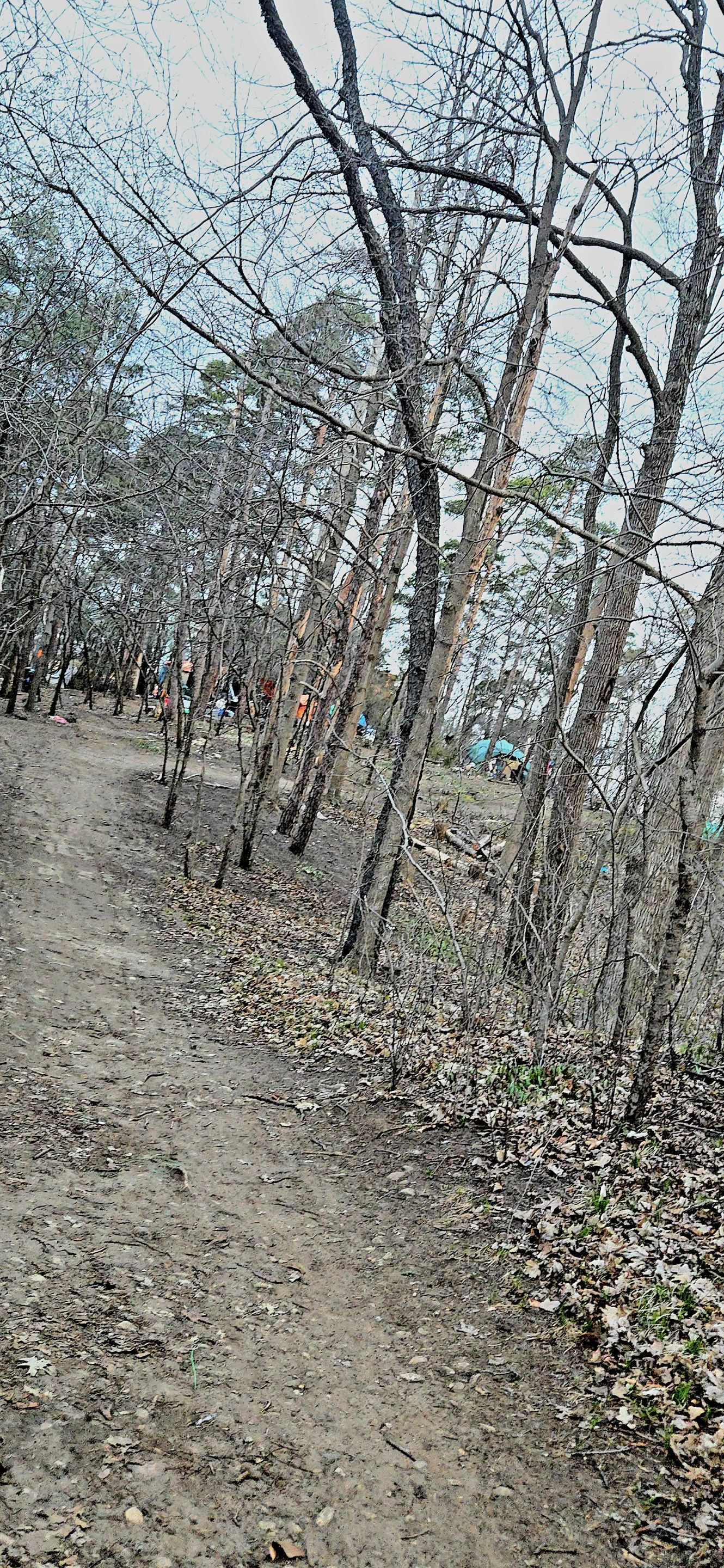 20250425_063929.jpg