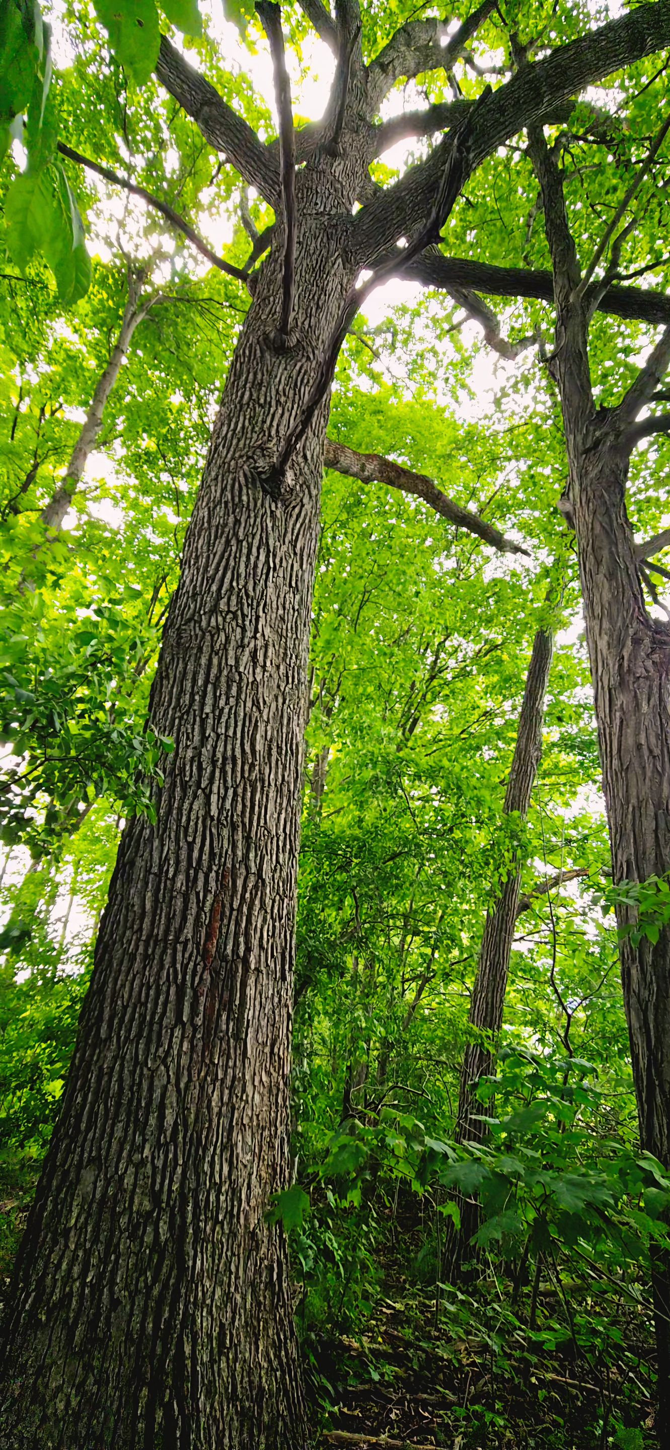 20250625_144457.jpg
