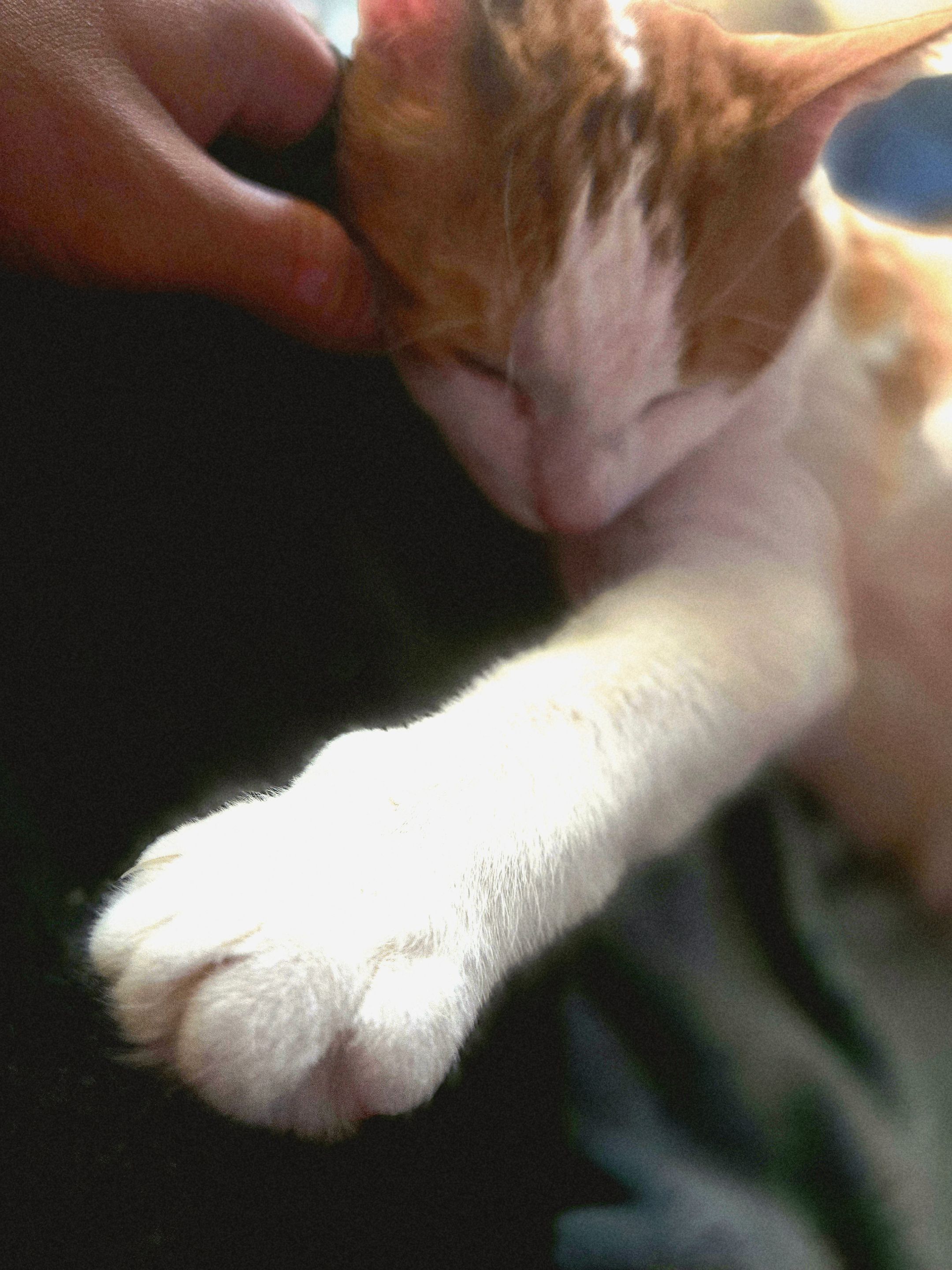 20250531_151546.jpg
