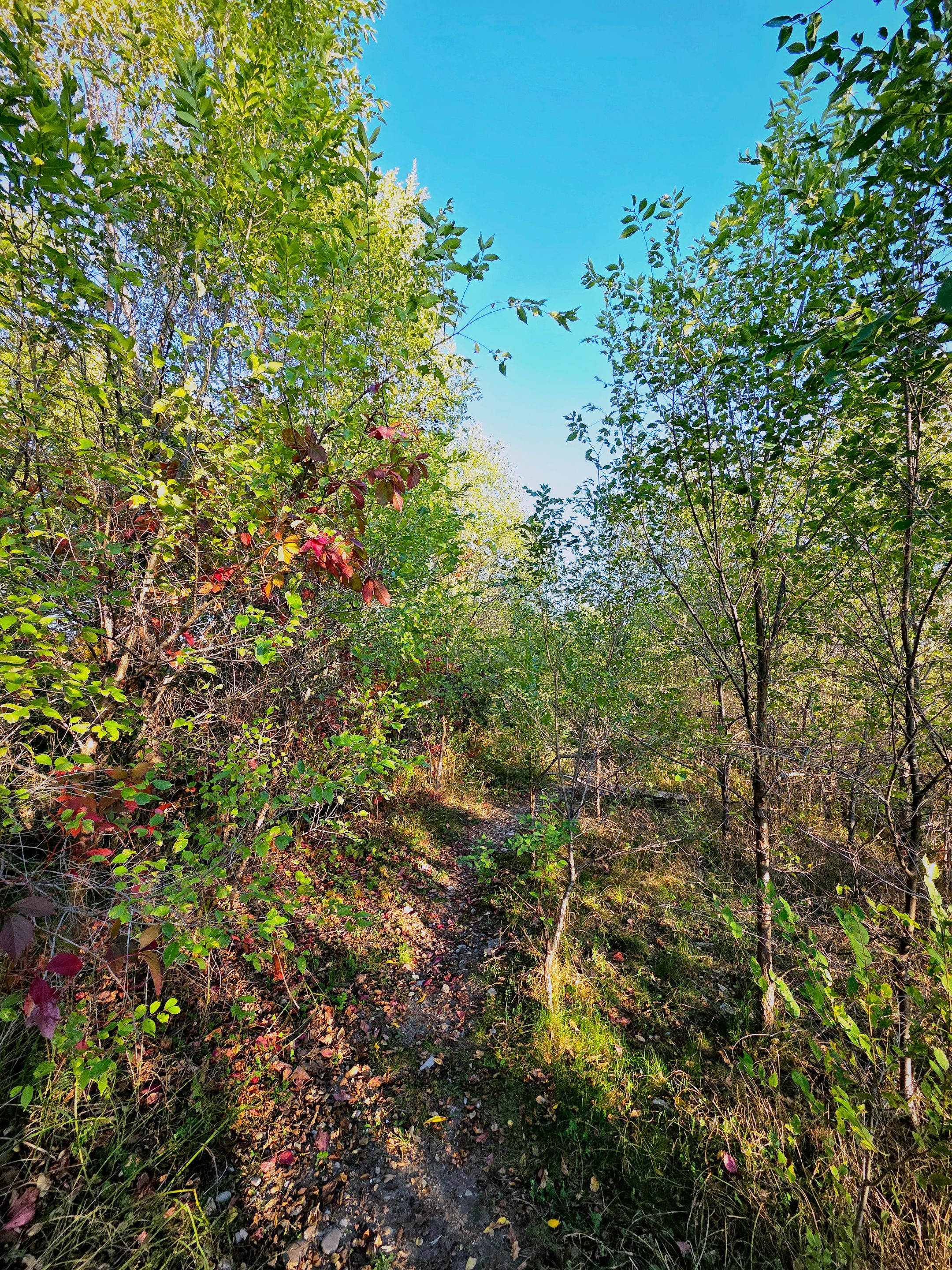 20251003_174802.jpg