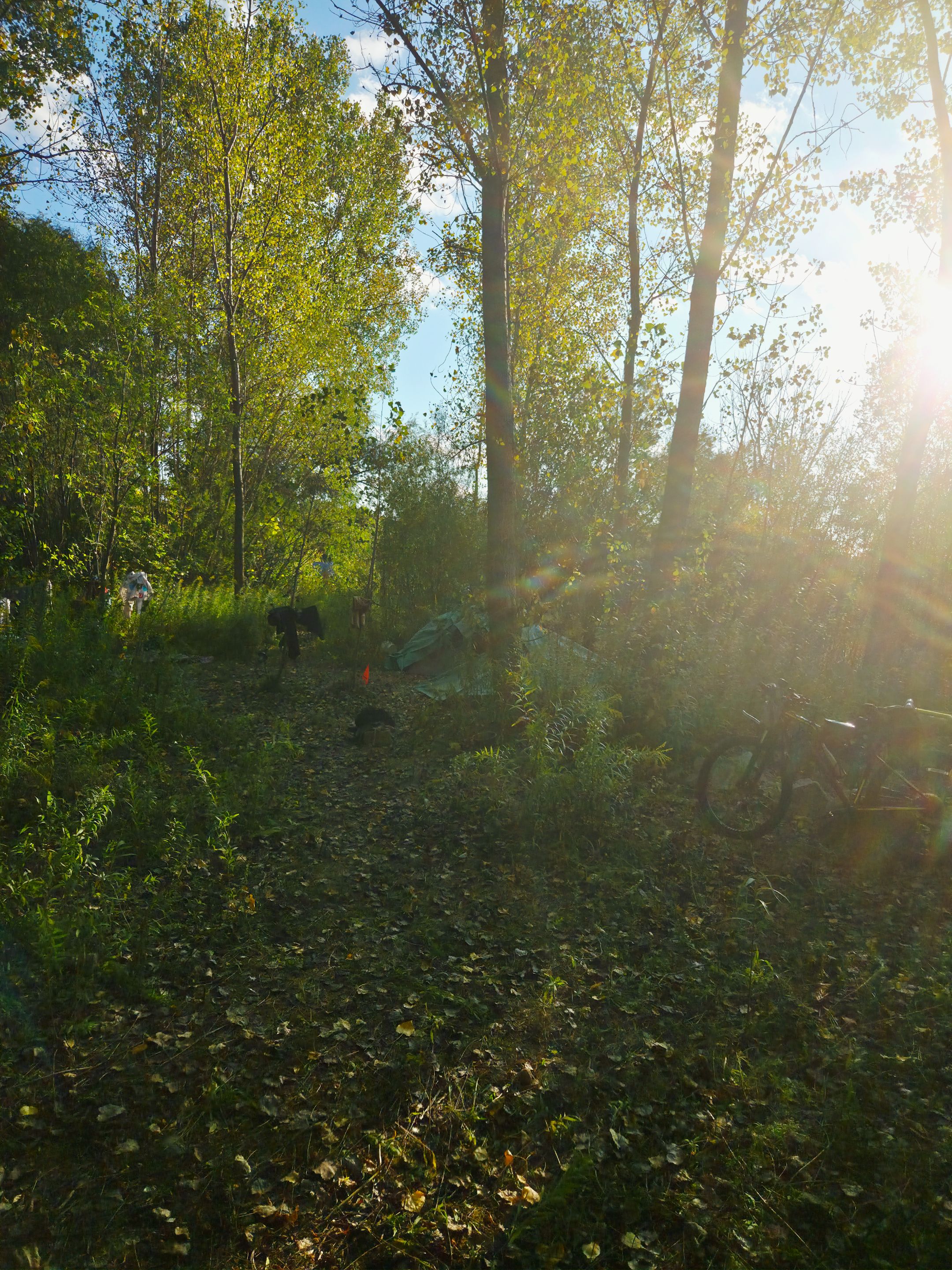 20250926_173928.jpg