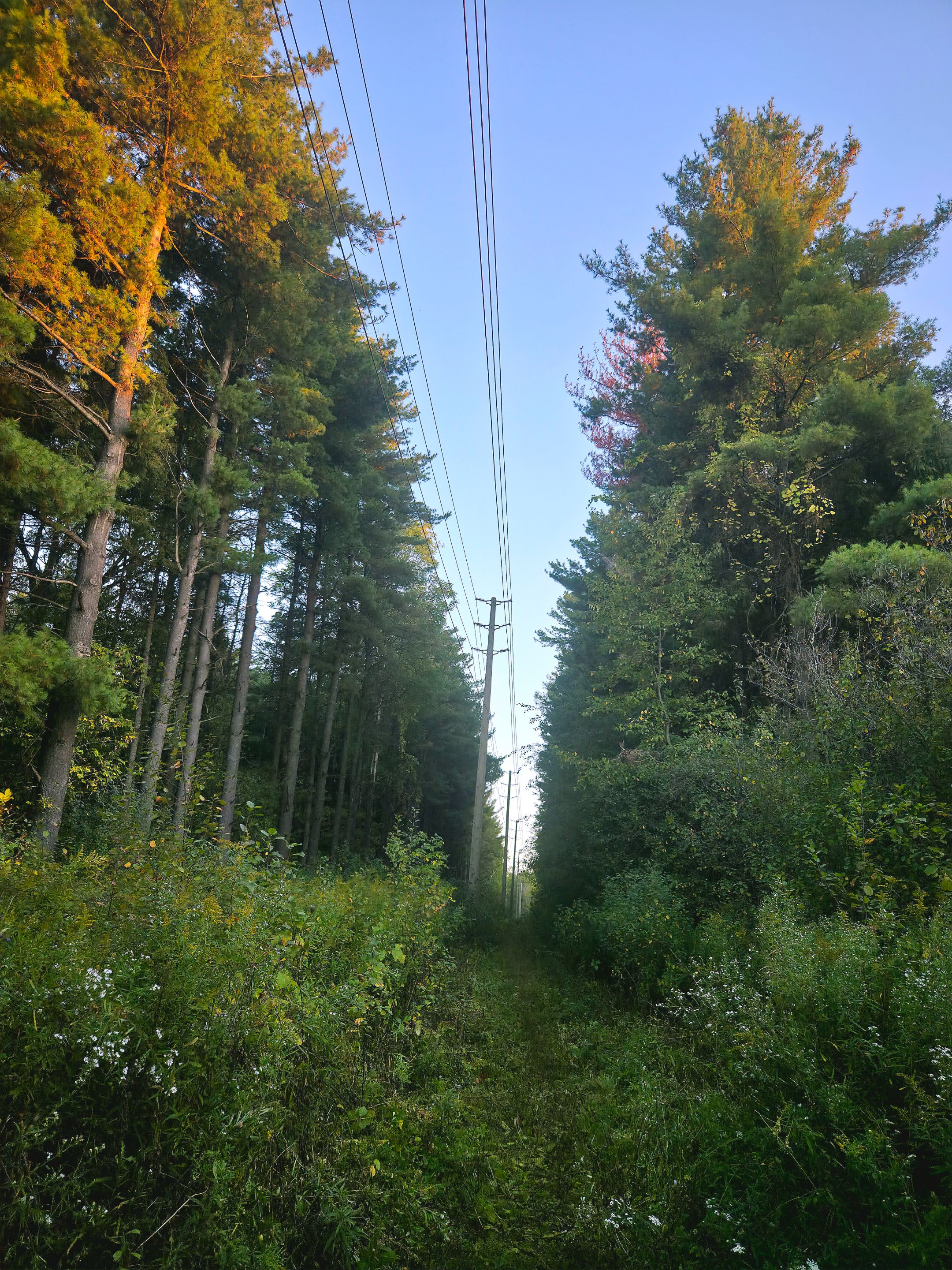 20251003_184356.jpg
