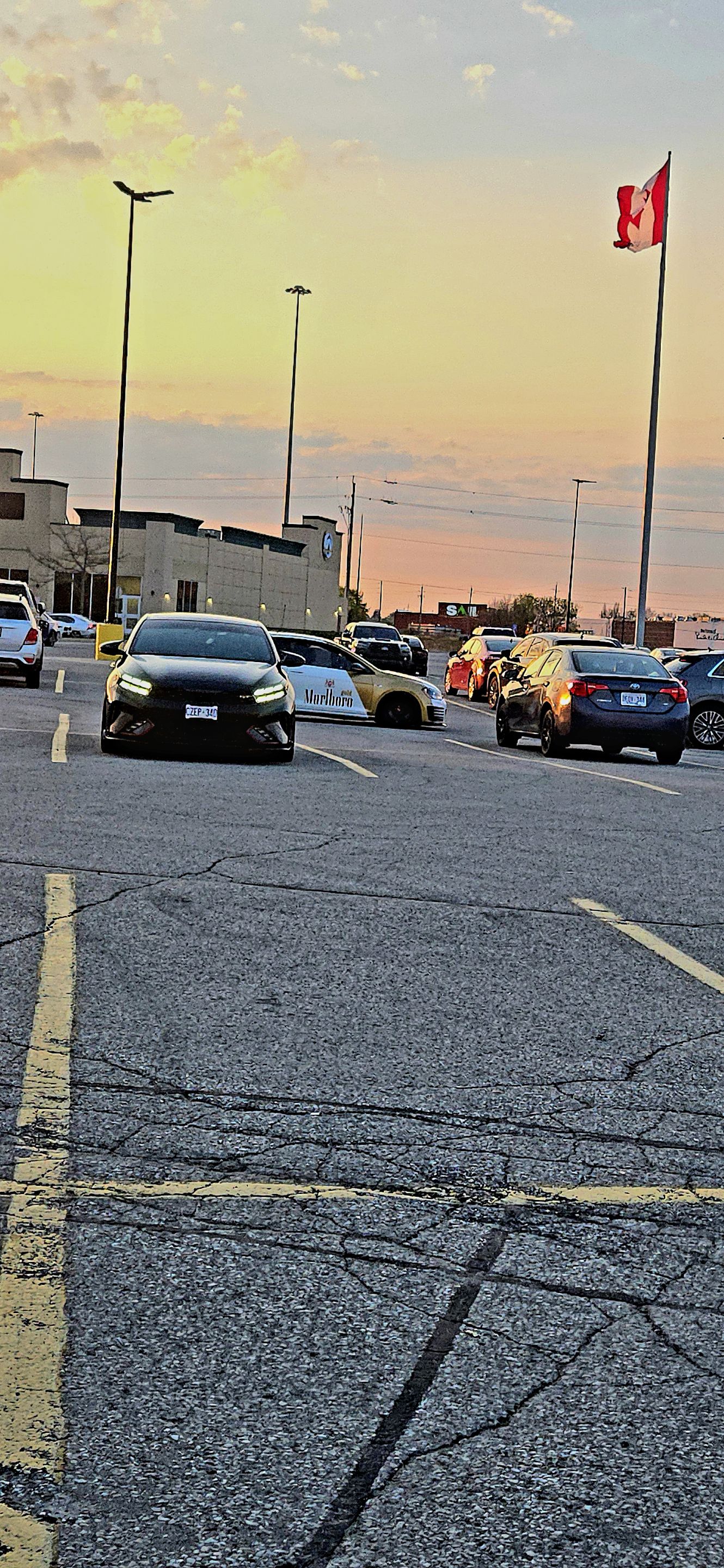 20250510_200513.jpg