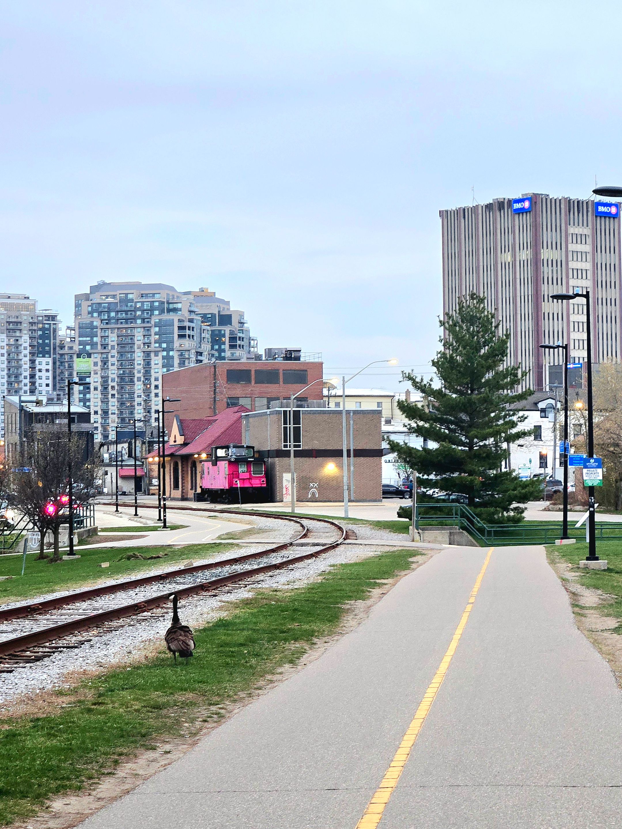 20250425_200116.jpg