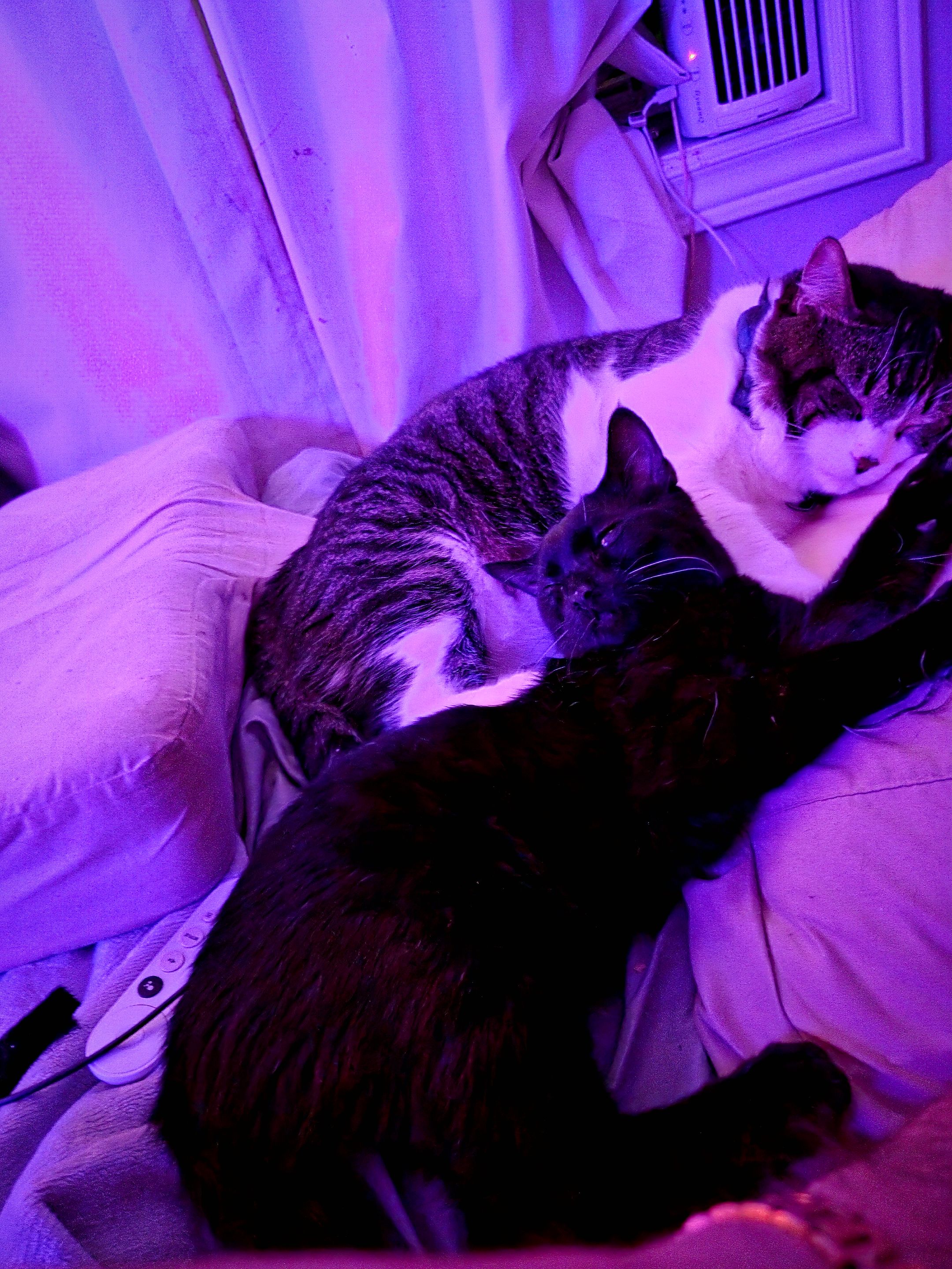 20251010_050445.jpg