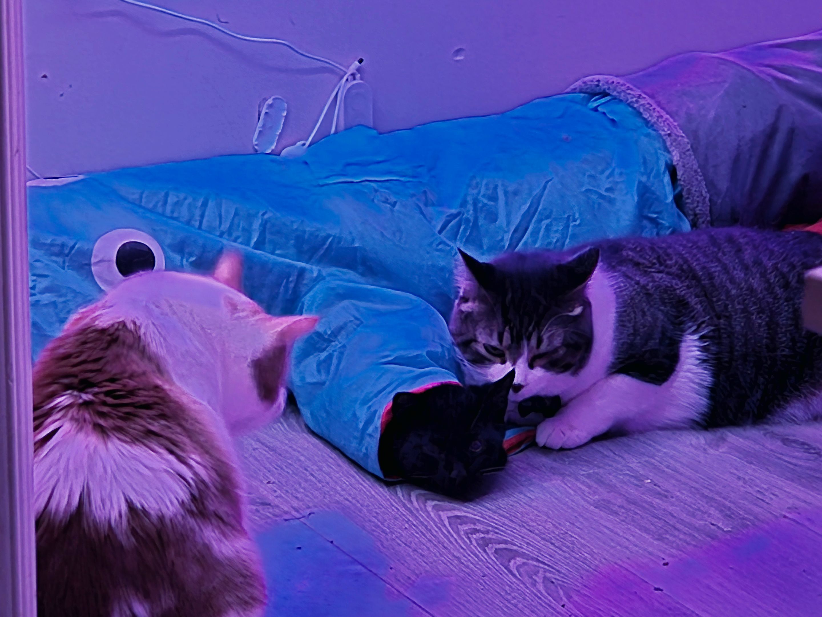 20250930_004625.jpg