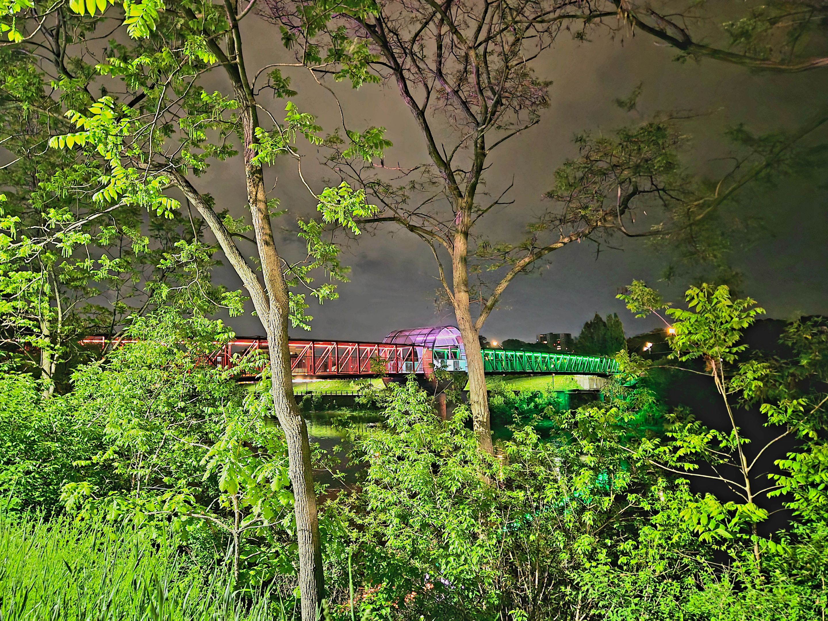 20250530_002530.jpg