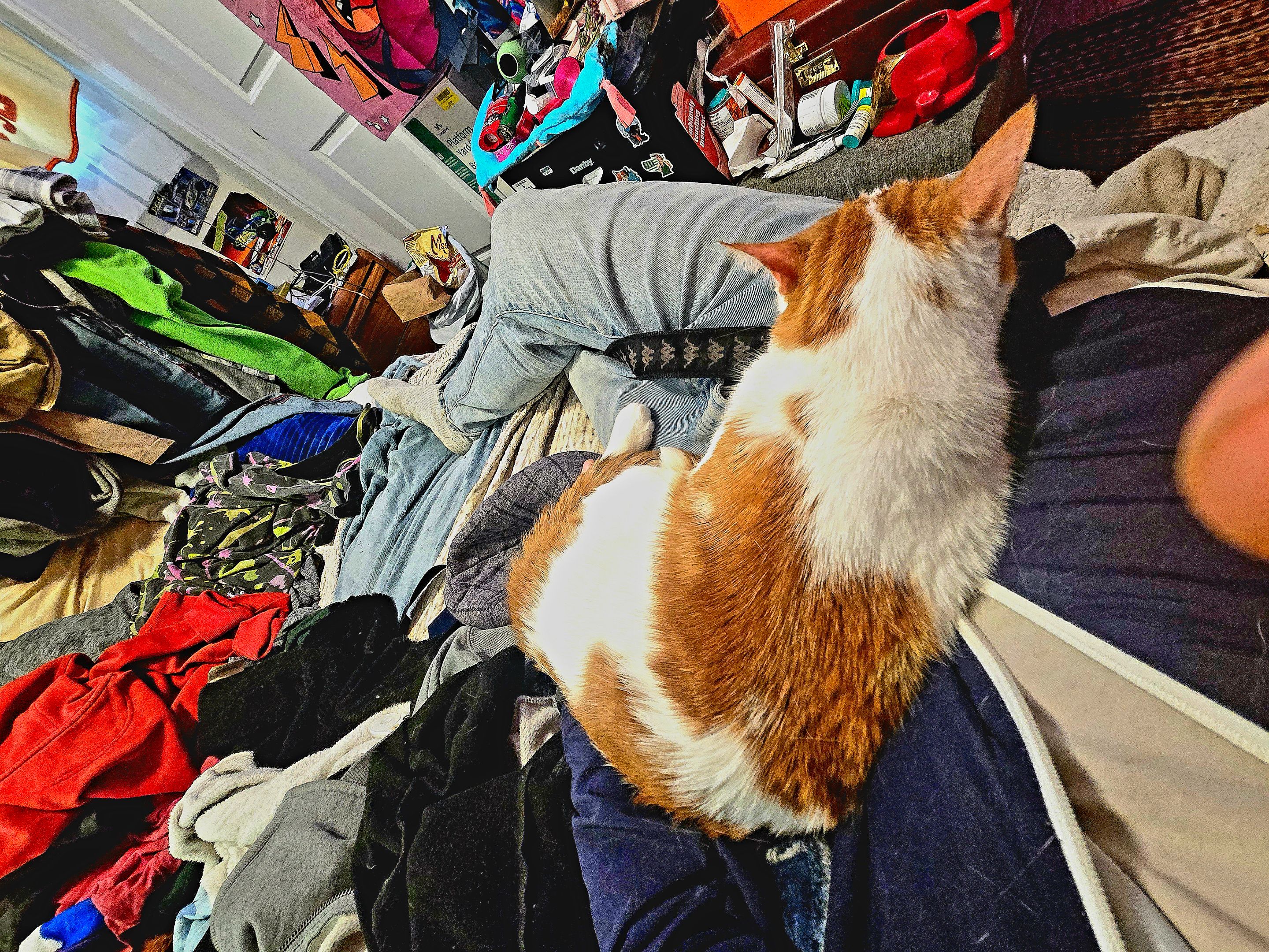 20250528_163621.jpg