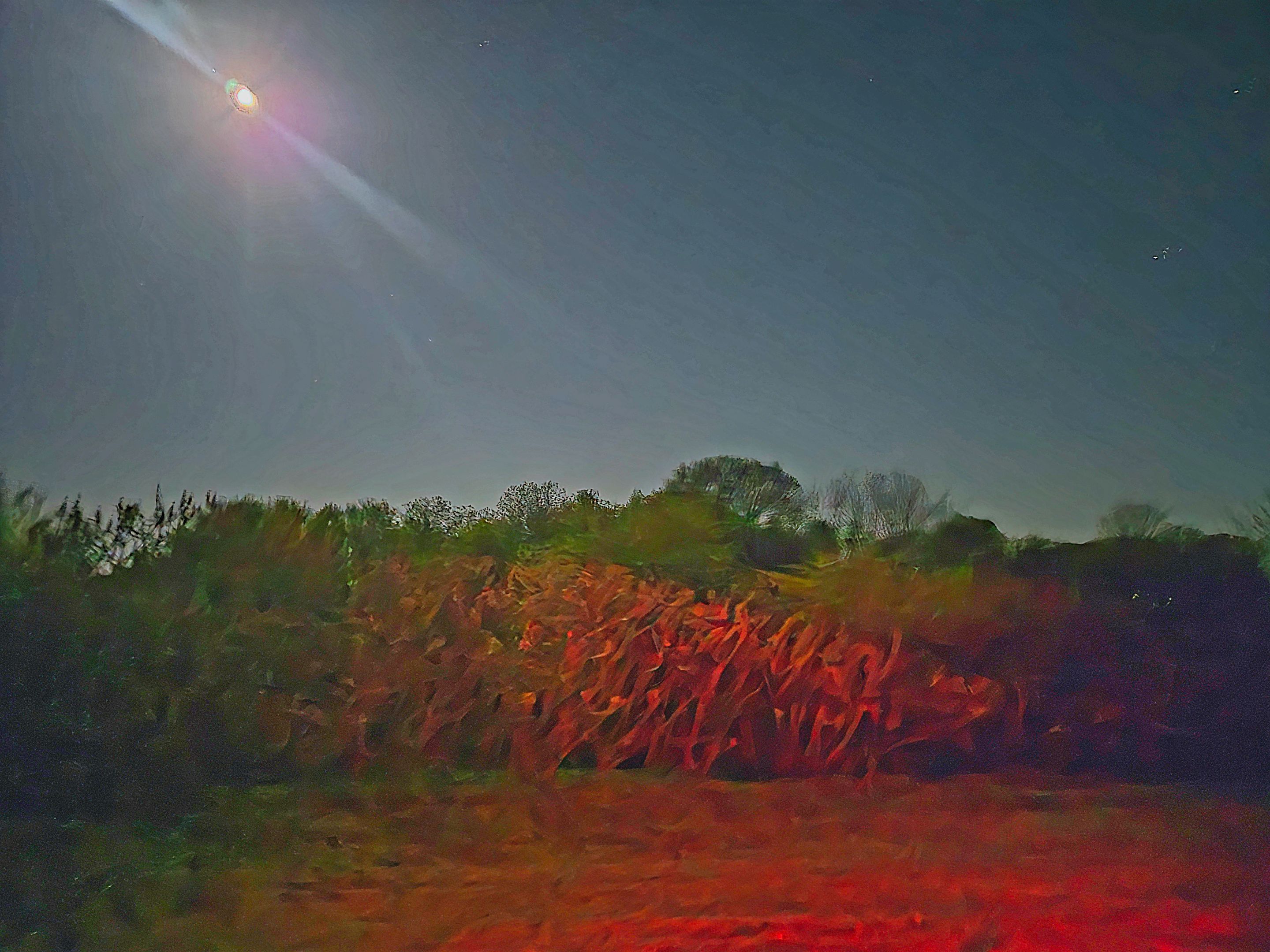 20250510_011720.jpg