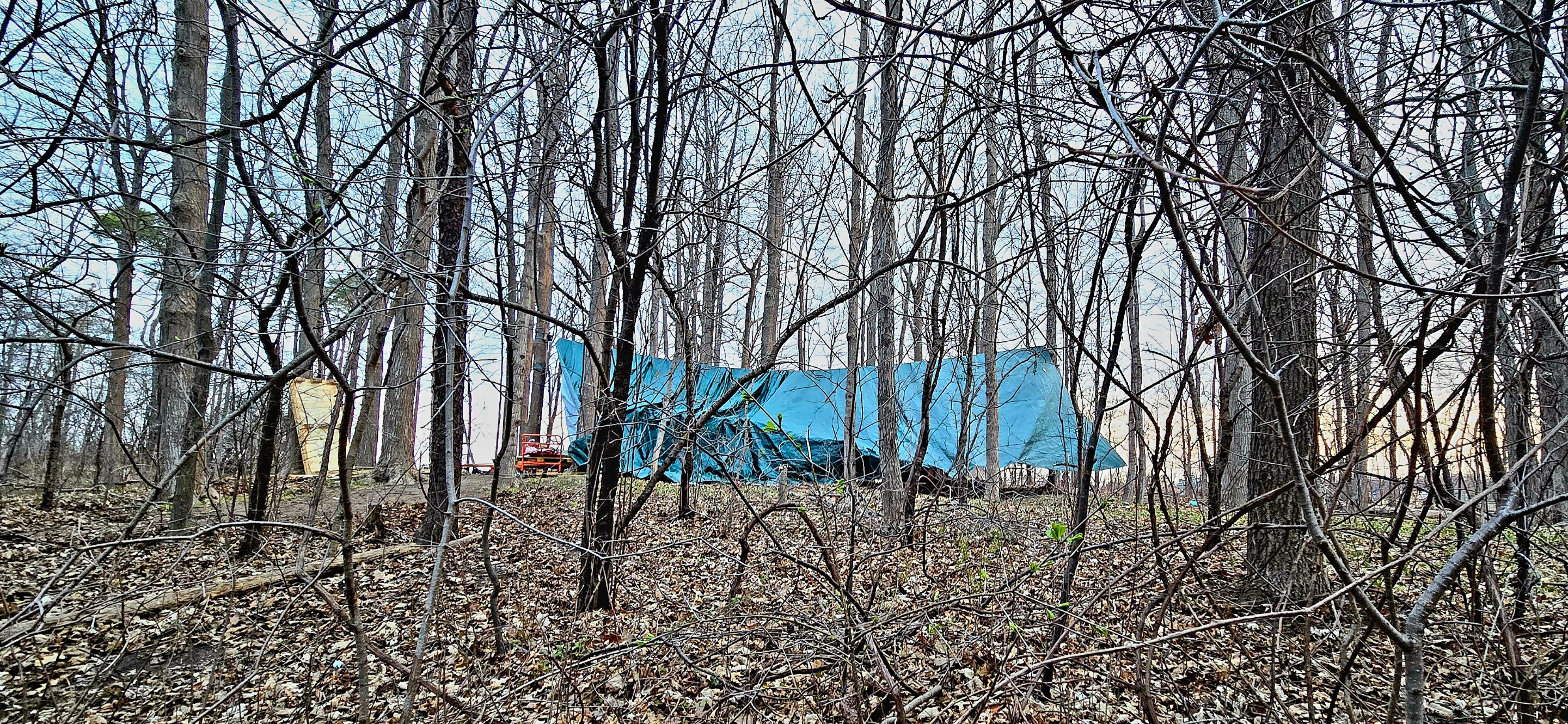 20250425_063959.jpg